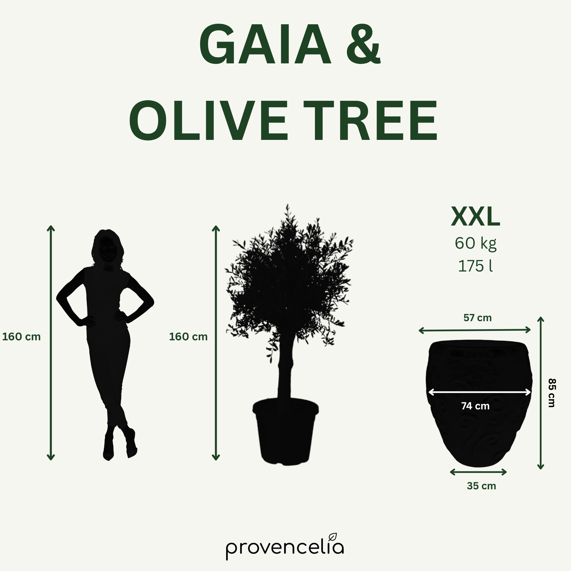 Olivovník (silný kmen) v keramickém květináči GAIA Nefrit 75×78cm – mrazuvzdorný, do exteriéru