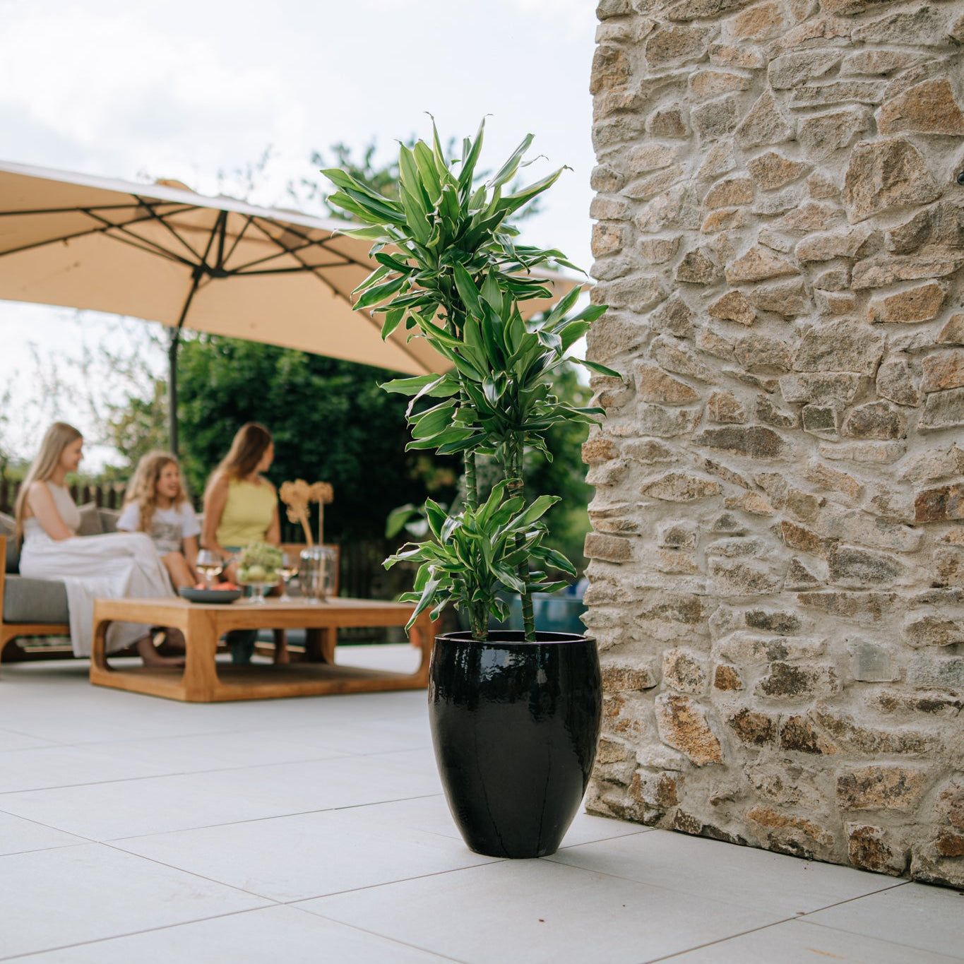 Keramický květináč LAFONTAINE - Černá