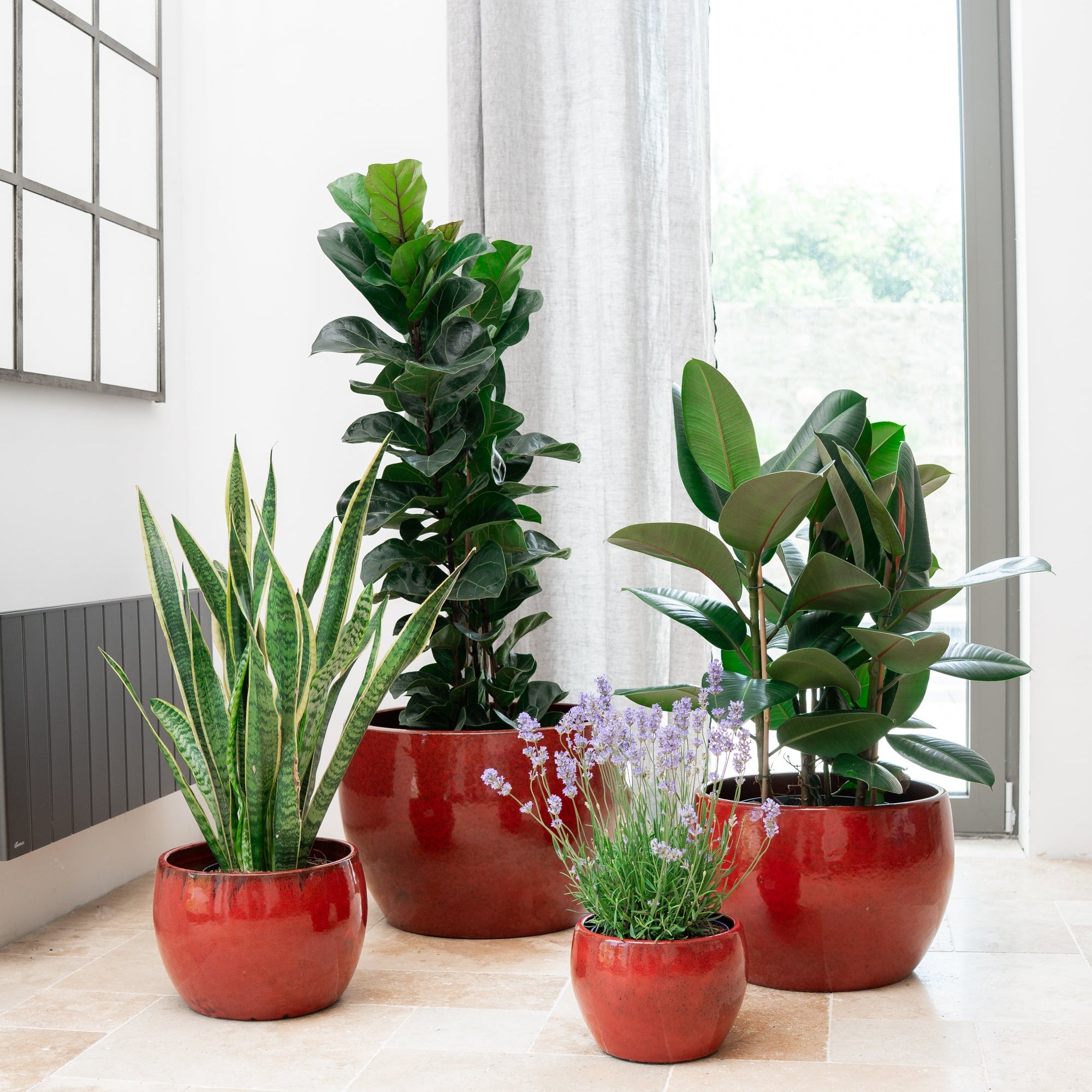 Keramicky květináč Romulus - Tropická červená