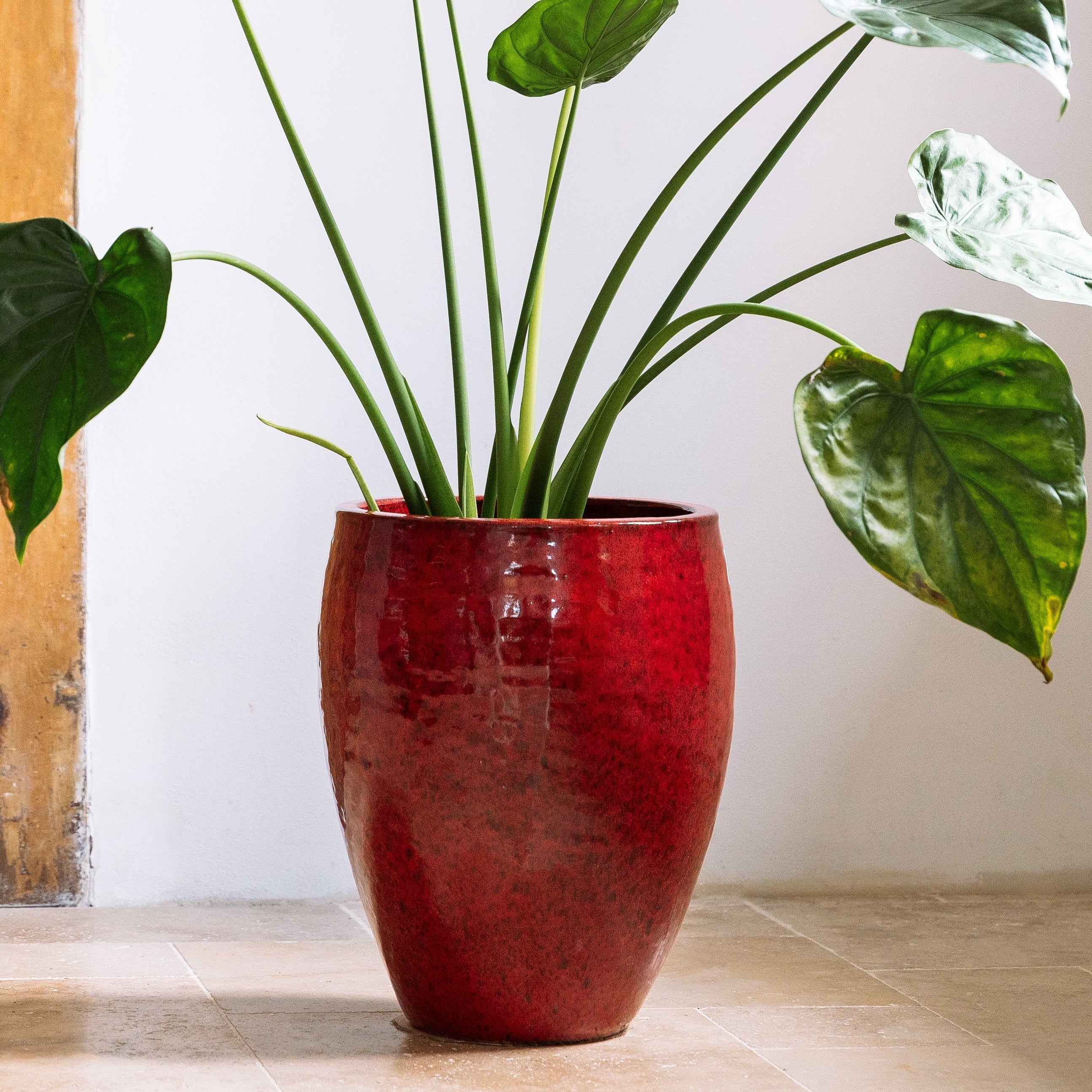 Keramický květináč Poseidon - Tropická červená