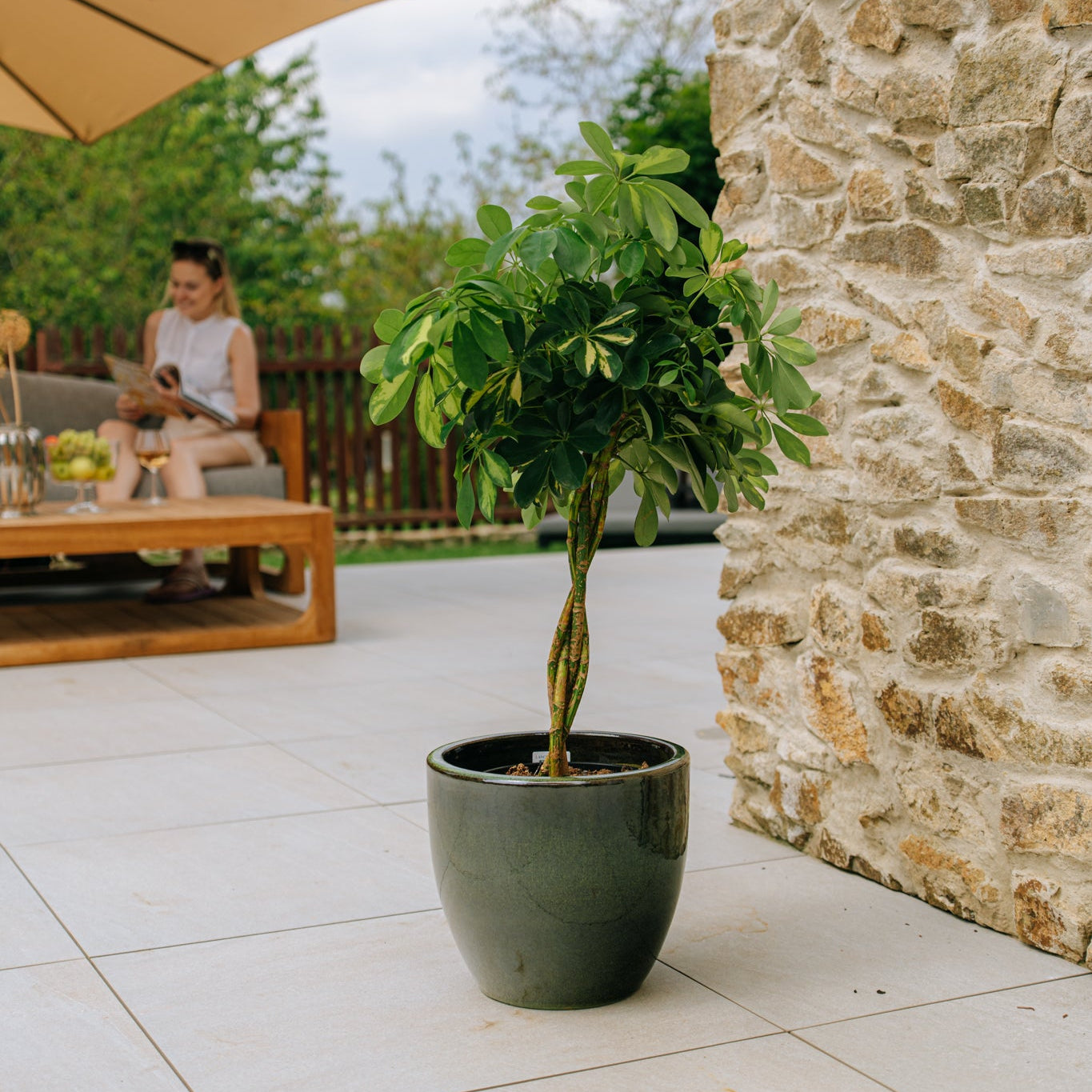 Keramický květináč LANCELOT - Tropická zelená