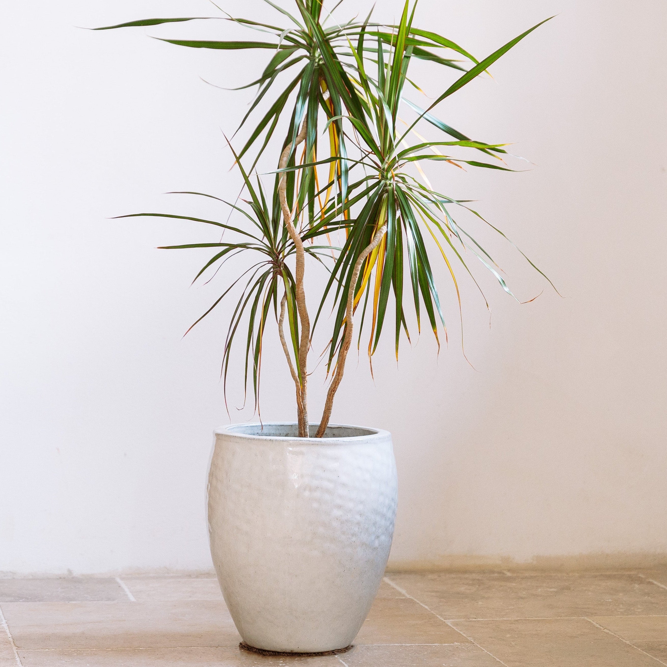 Keramický květináč Poseidon - Bílá