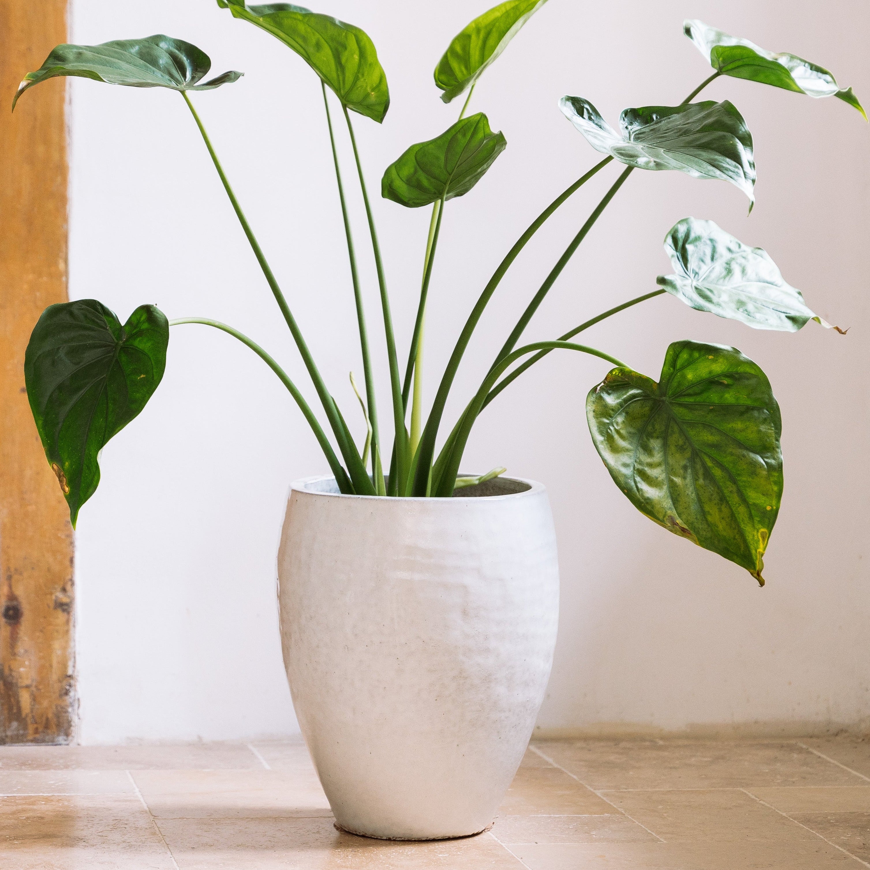 Keramický květináč Poseidon - Bílá