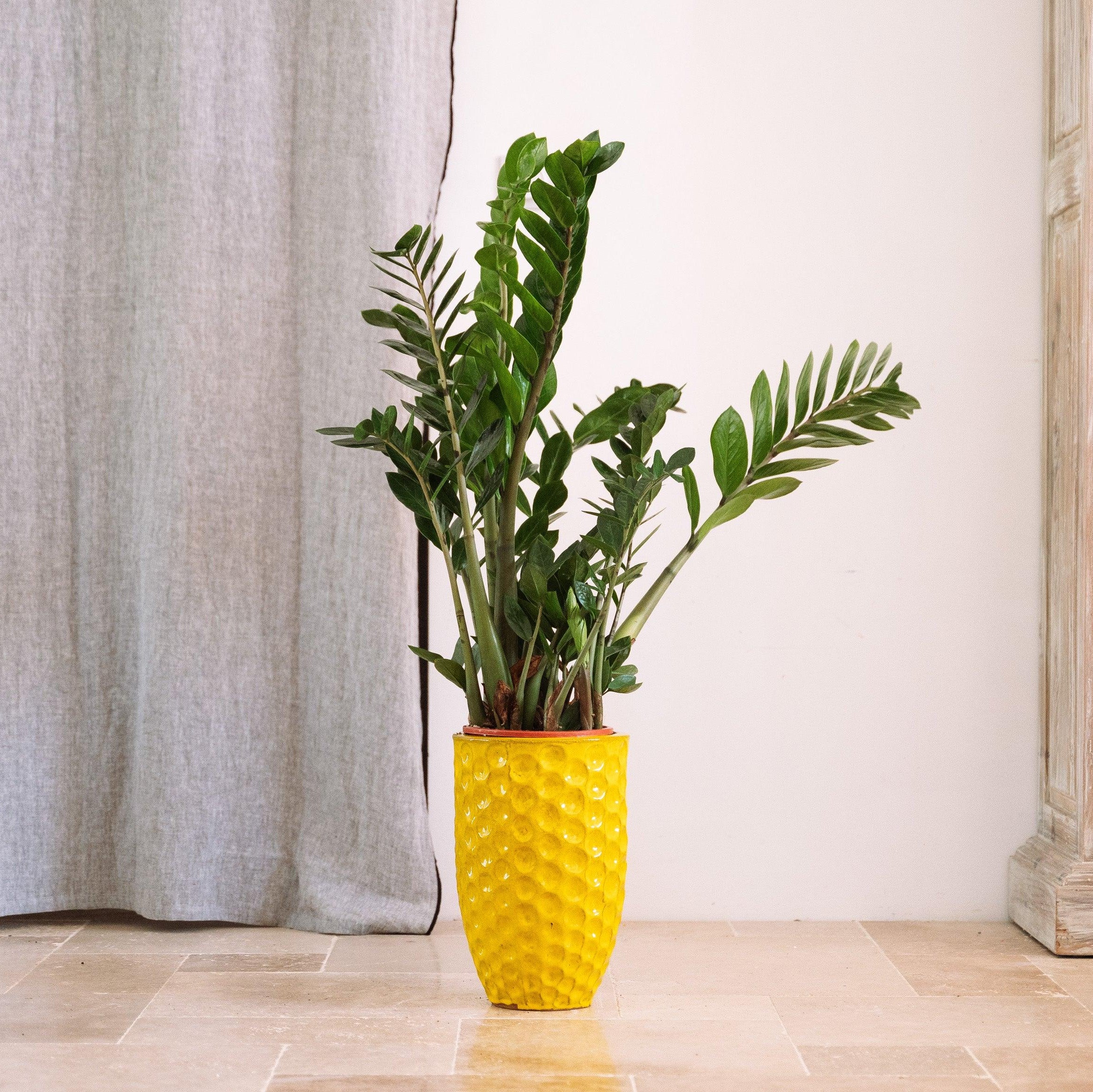 Keramický květináč MEROVEE - Žlutá - Provencelia.cz