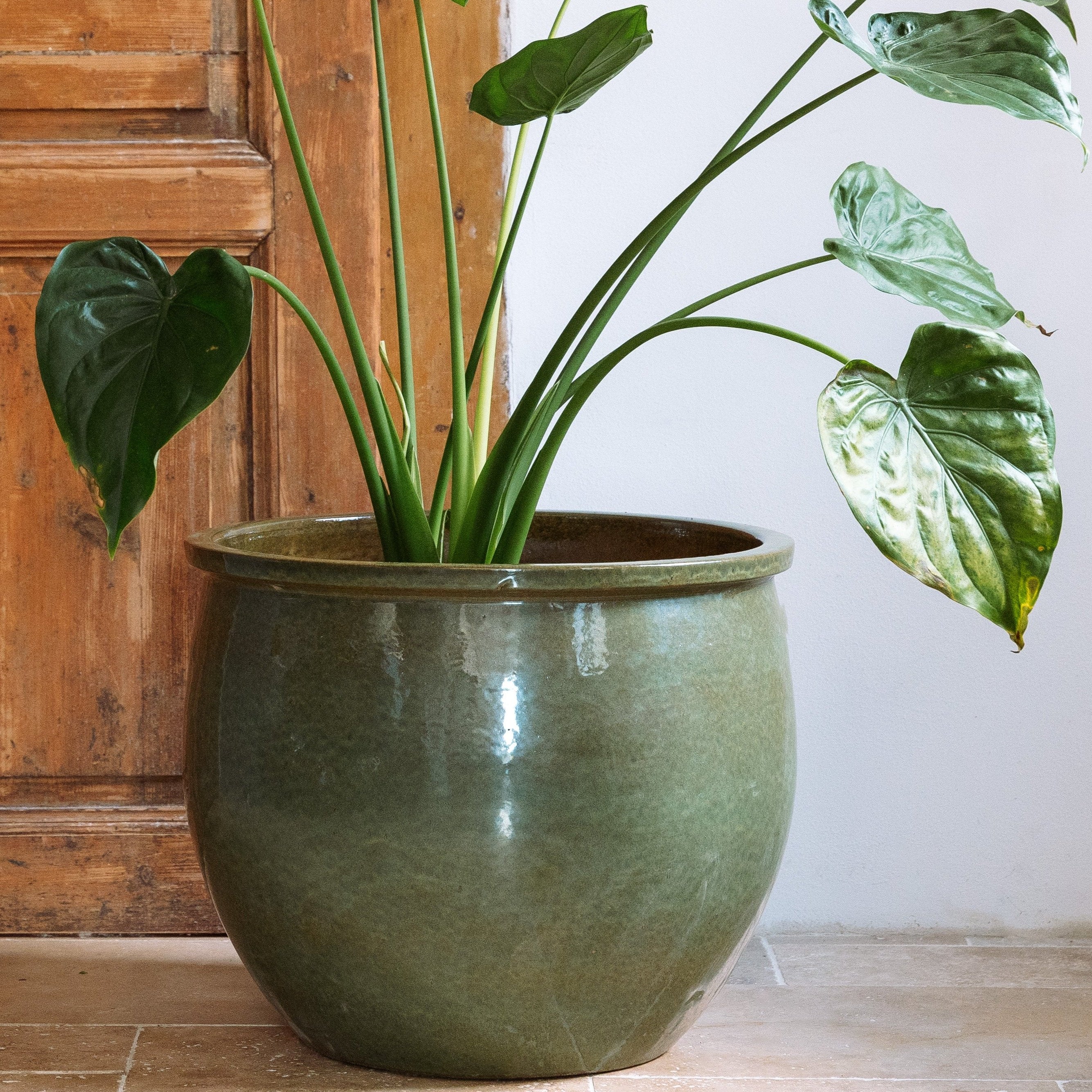 Keramický květináč Newton - Tropická zelená - Provencelia.cz