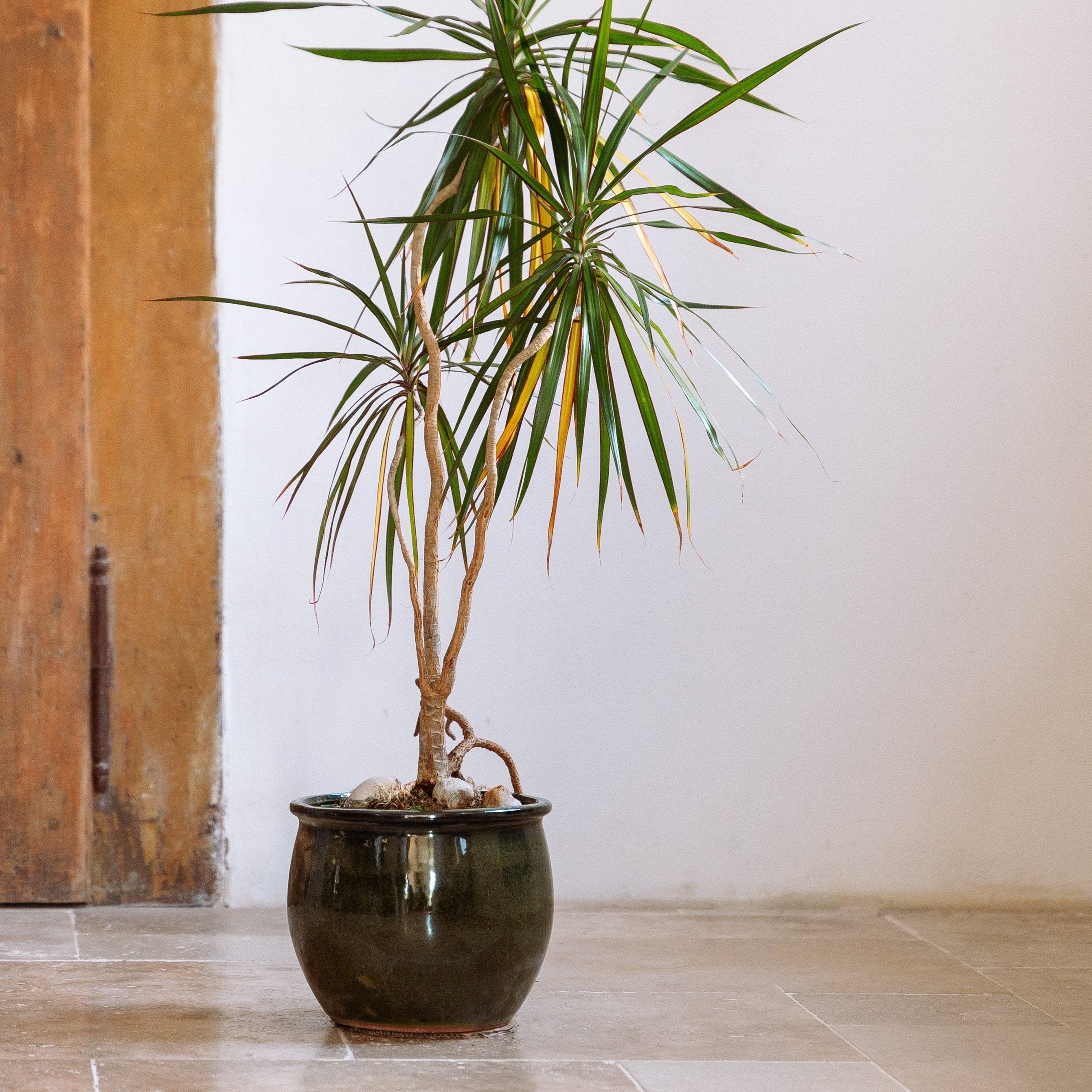 Keramický květináč Newton velky - Tropická zelená - Provencelia.cz