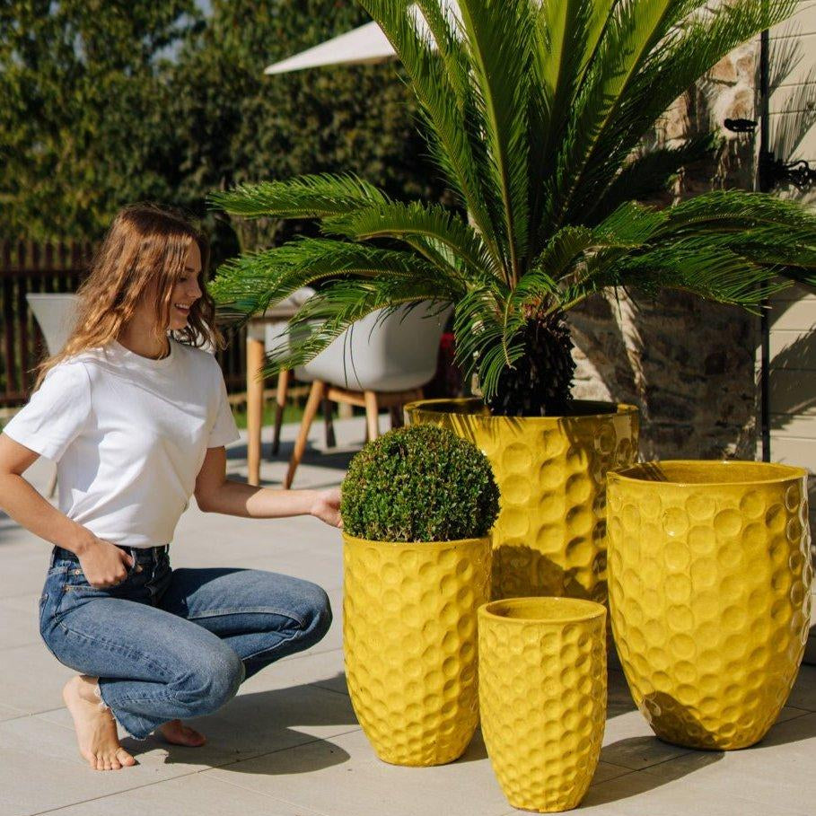 TWS08833 - Provencelia.cz