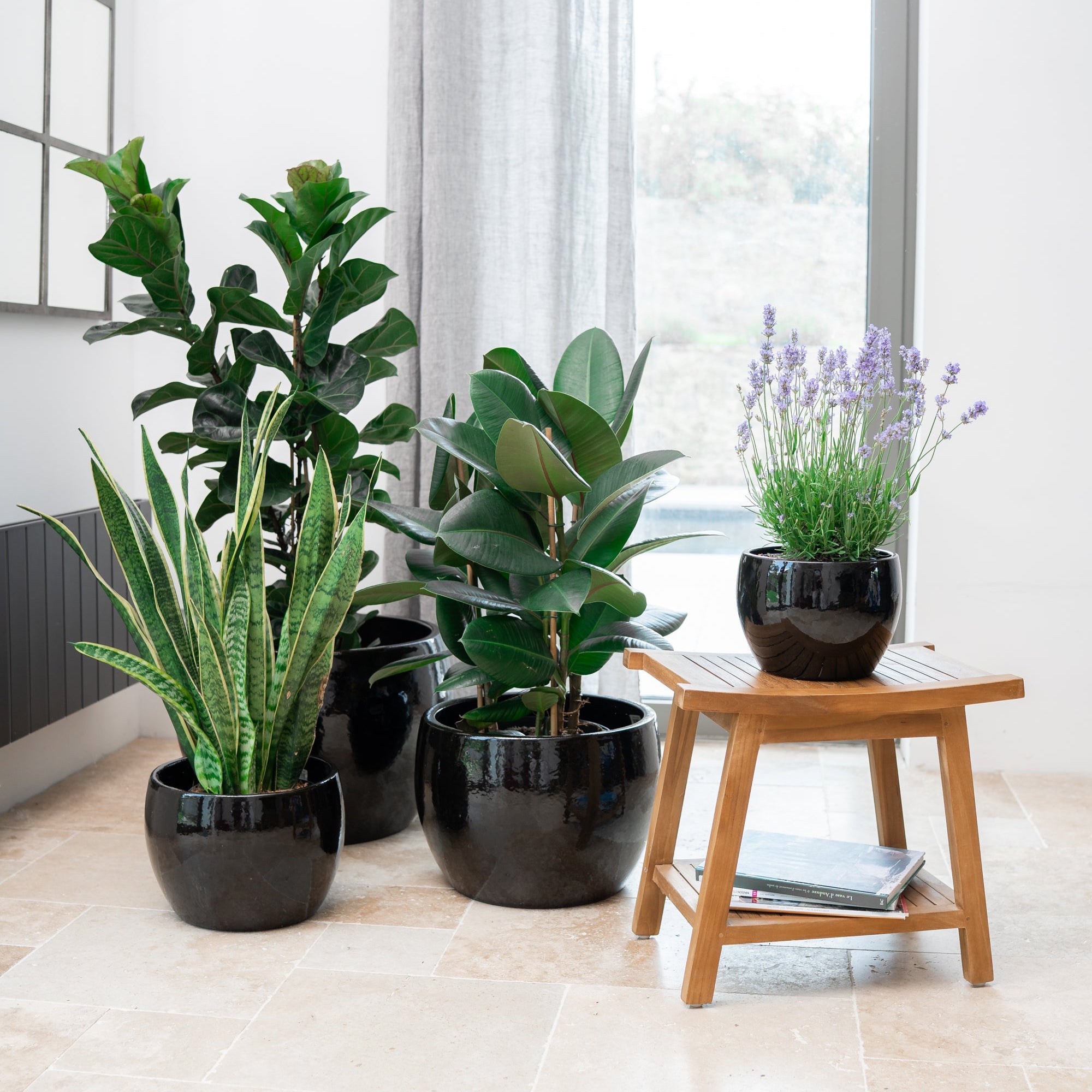 Keramicky květináč Romulus - Černá