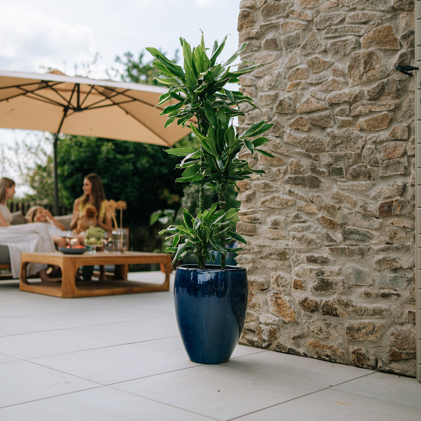 Keramický květináč LAFONTAINE - Mořsky modrá