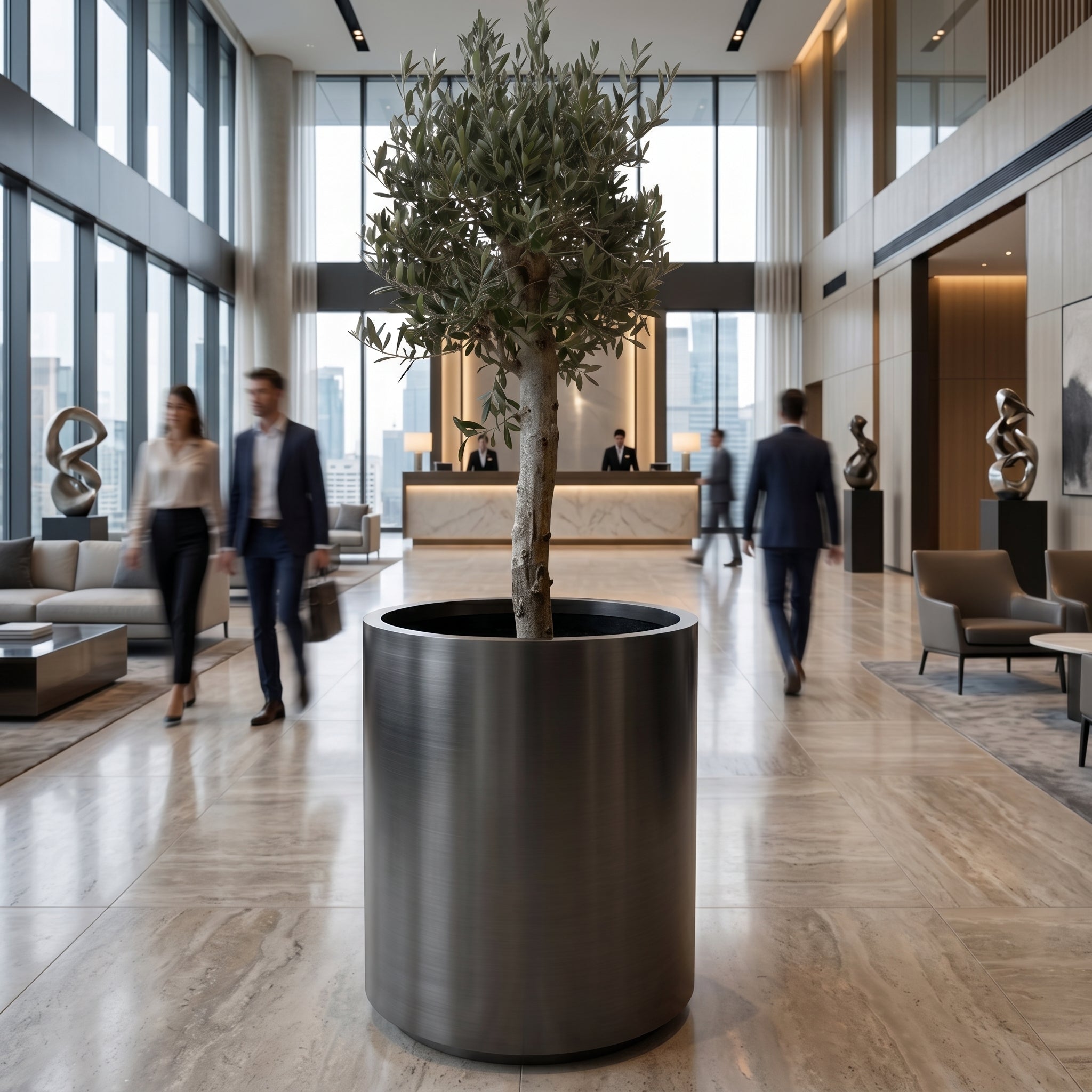 Olivovník se silným kmenem v černém designovém květináči METROPOLE 60x70 cm umístěný v luxusní hotelové lobby.