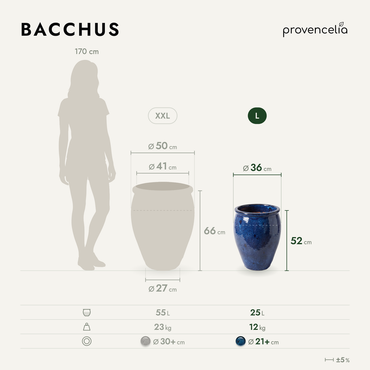 BACCHUS L – rozměry