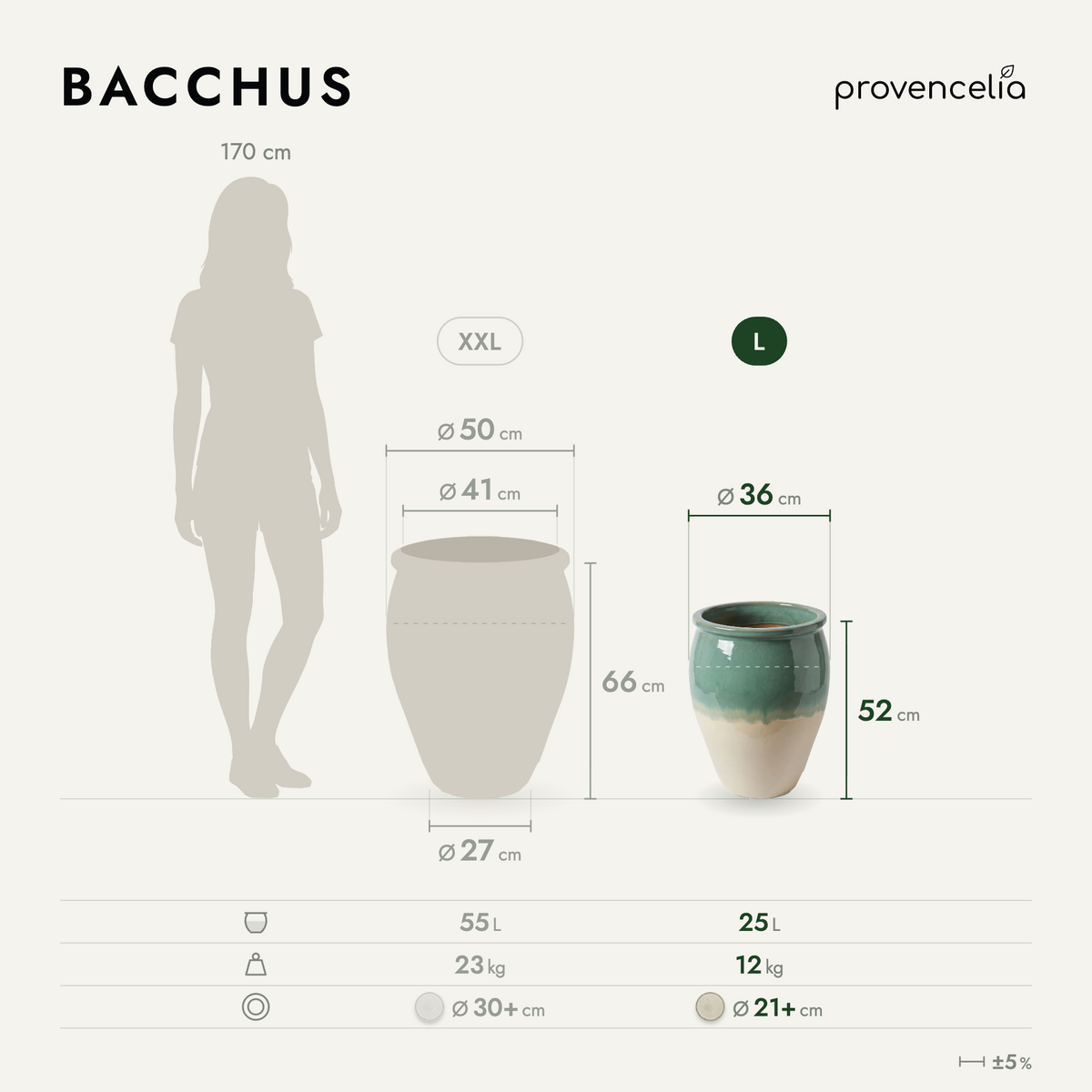 BACCHUS L – rozměry