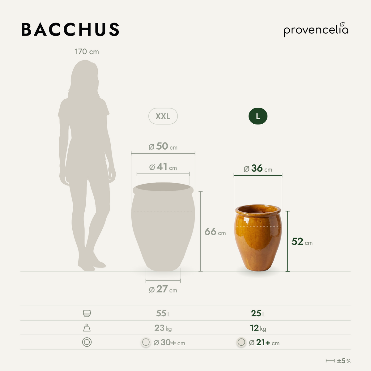 BACCHUS L – rozměry