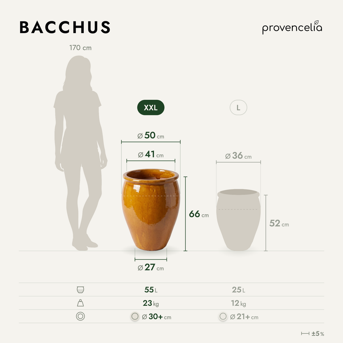 BACCHUS XXL – rozměry