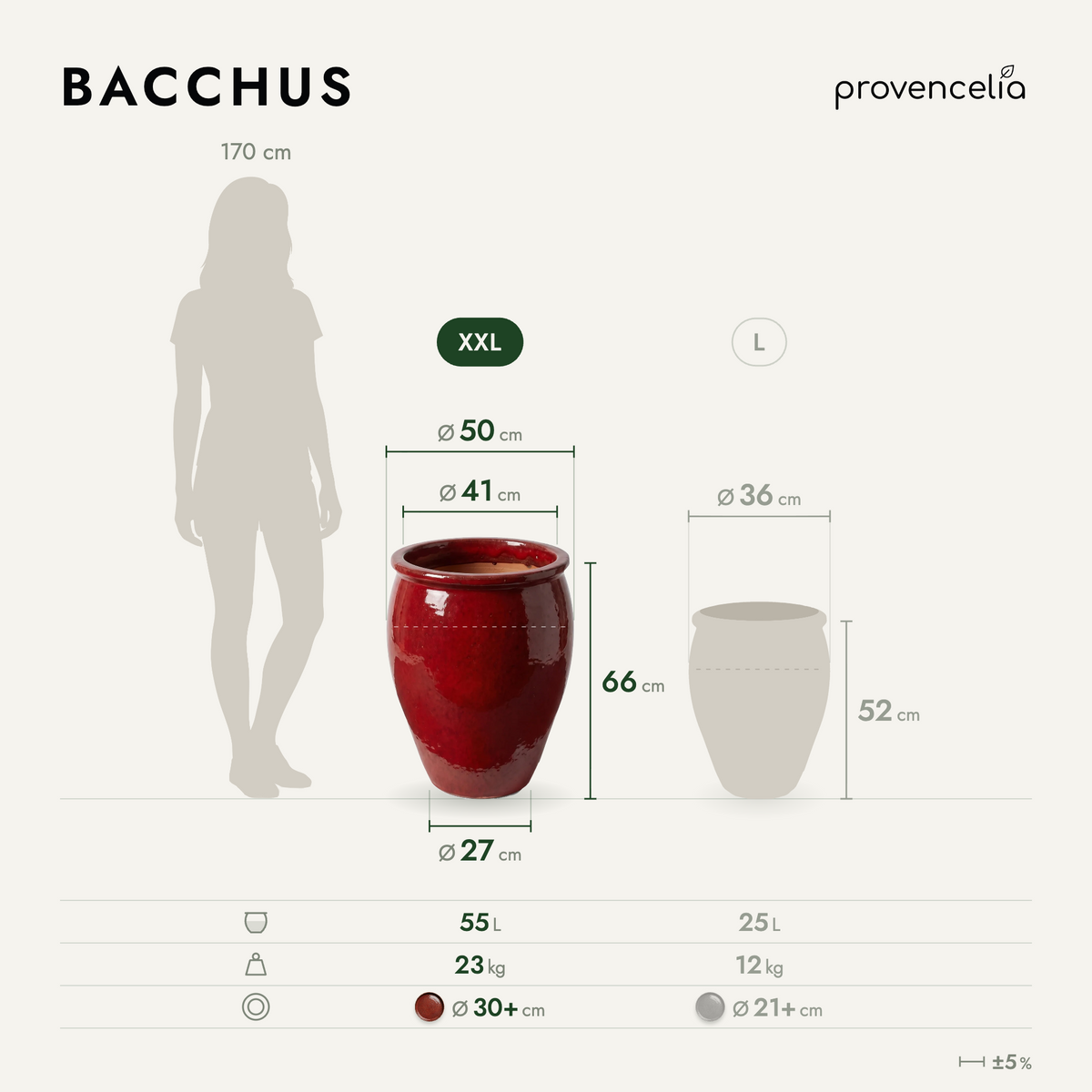 BACCHUS XXL – rozměry