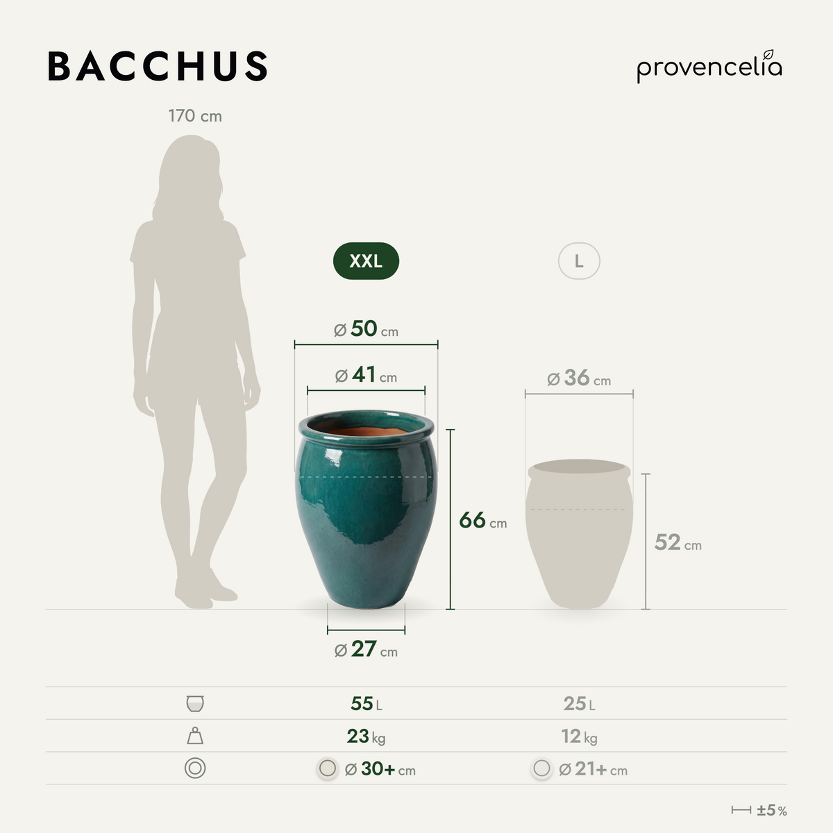 BACCHUS XXL – rozměry