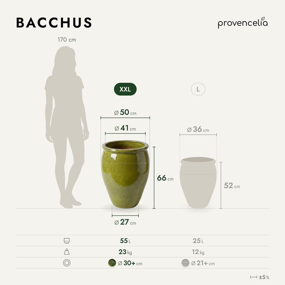 BACCHUS XXL – rozměry