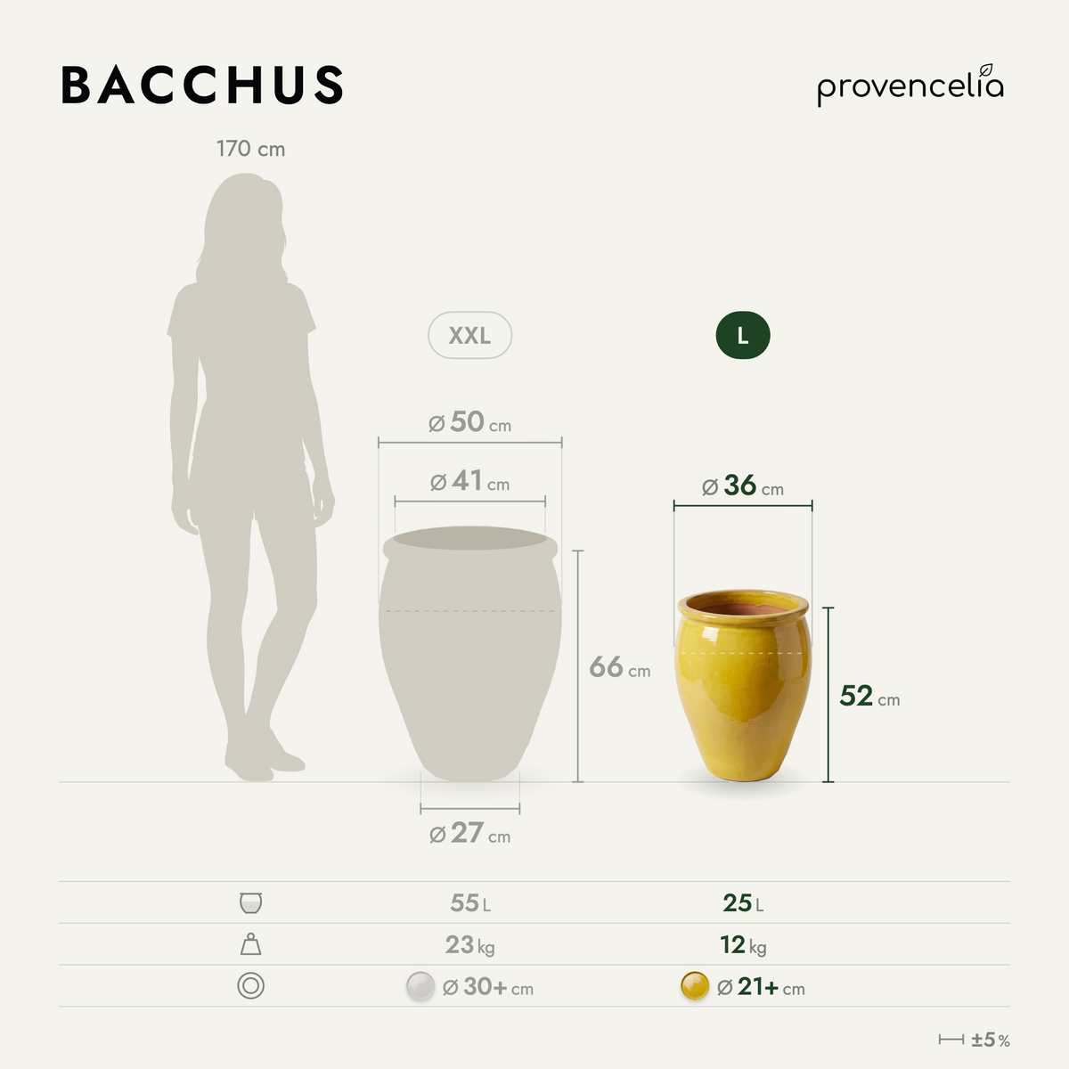 BACCHUS L – rozměry