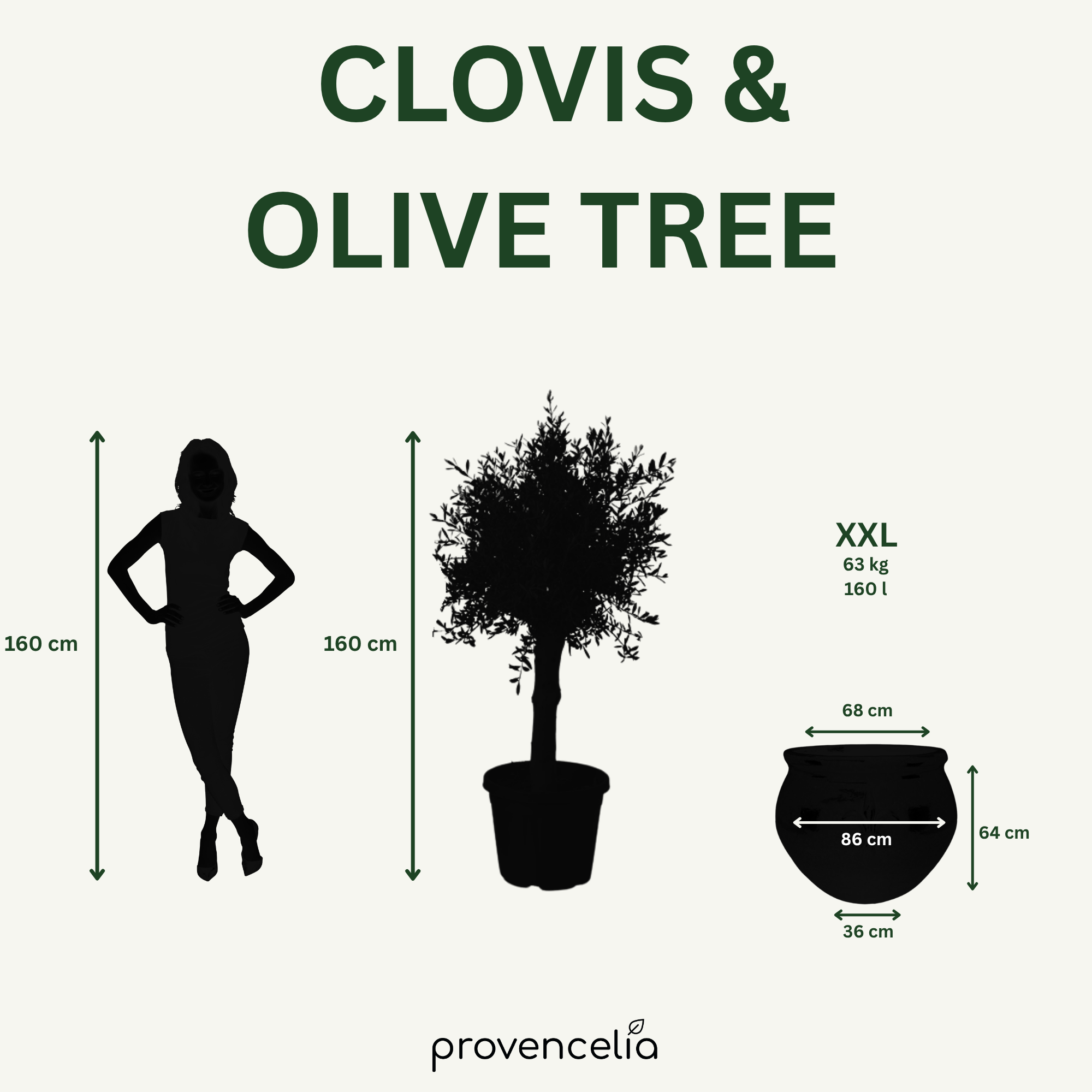 Olivovník (silný kmen) v květináči CLOVIS 86×64cm — Pouštní žlutá
