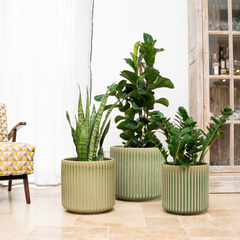 Keramický květináč London - Zelená