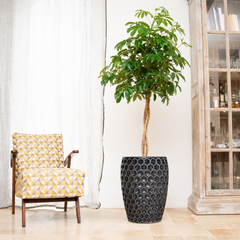 Keramický květináč Versaille - Černý