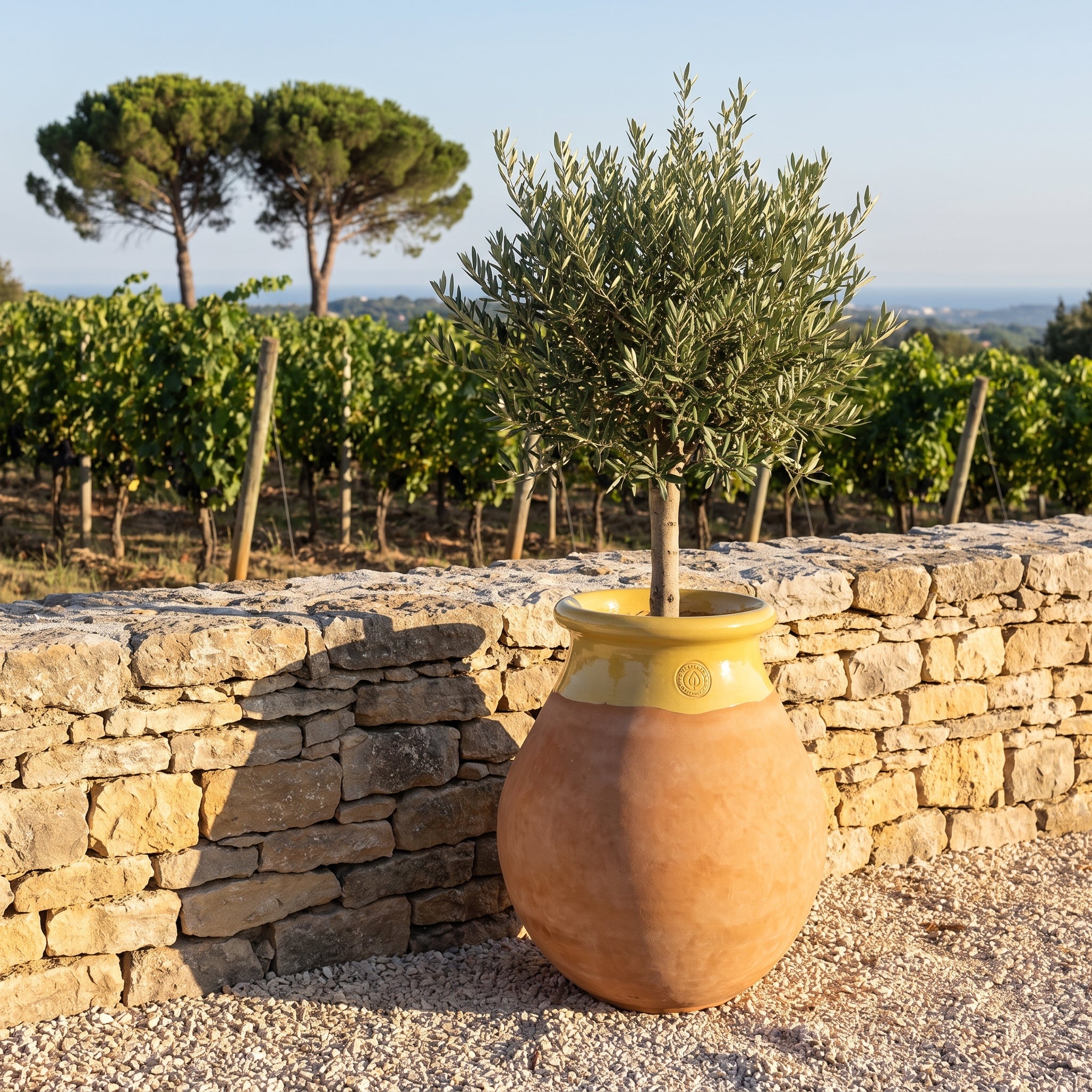 Provensálský biot MADE IN PROVENCE – terakota cérusée s medovým límcem - 2XL (85 cm)