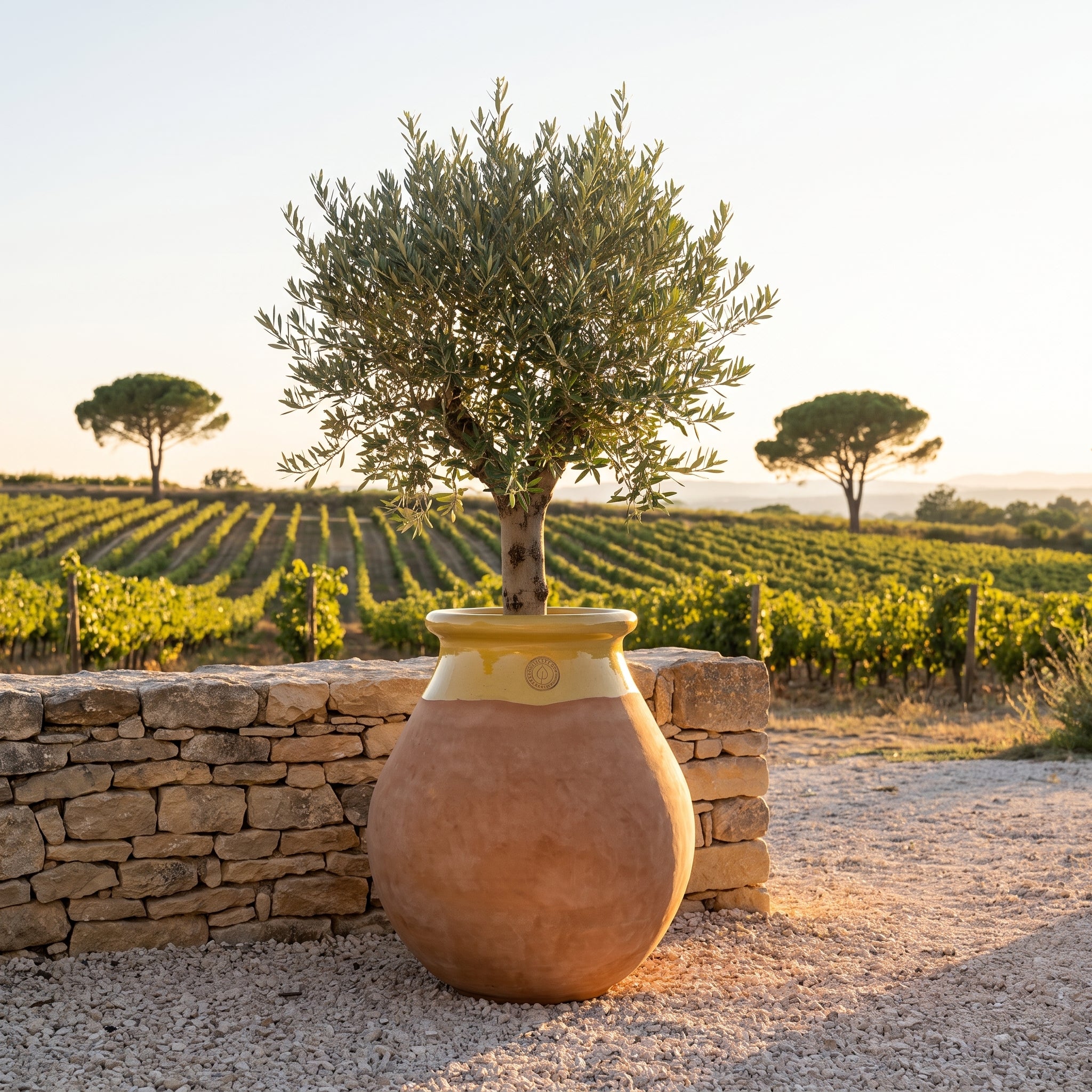 Provensálský biot MADE IN PROVENCE – terakota cérusée s medovým límcem - 2XL (85 cm)