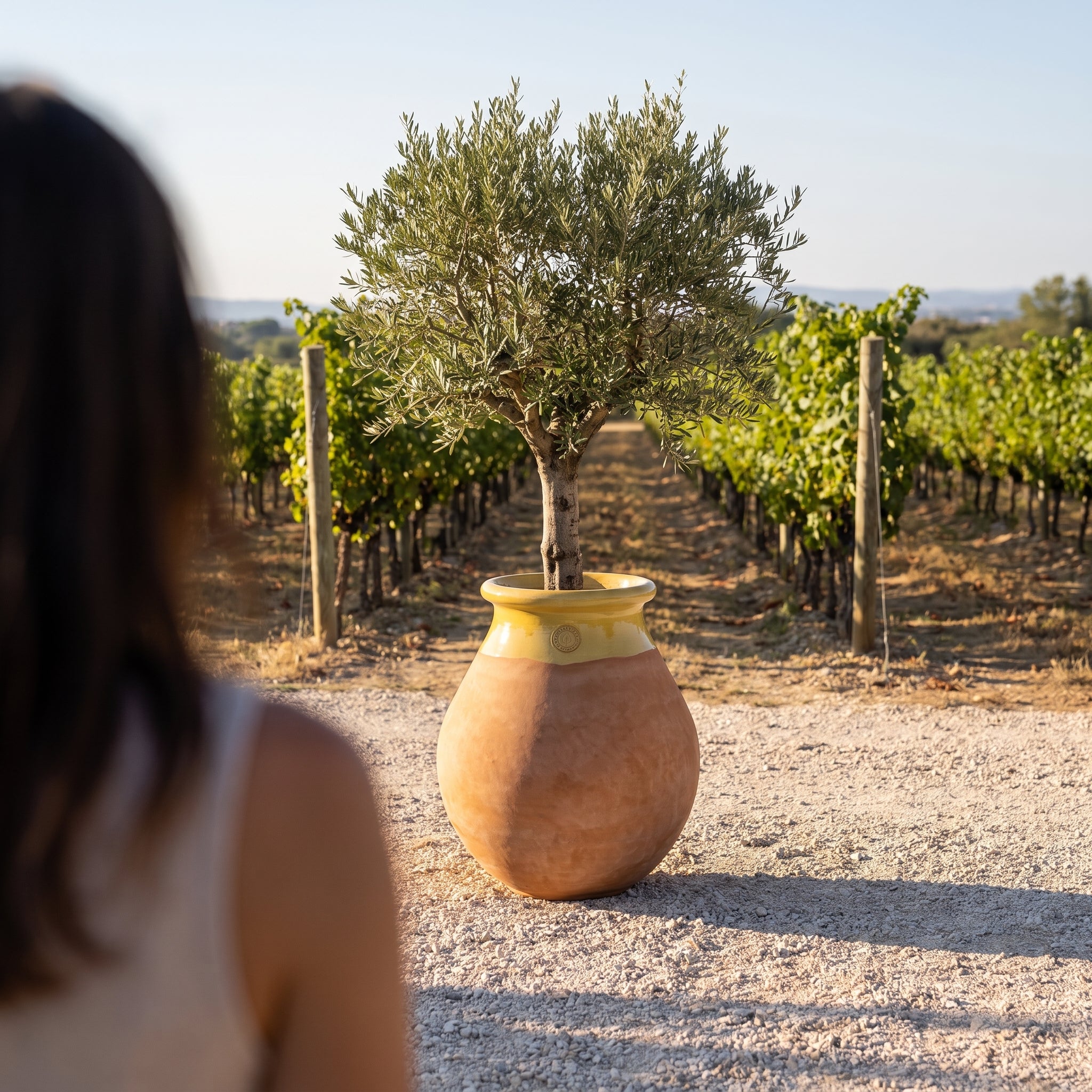 Provensálský biot MADE IN PROVENCE – terakota cérusée s medovým límcem - 2XL (85 cm)