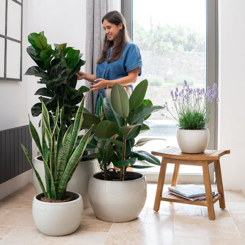 Keramicky květináč Romulus - Krémová