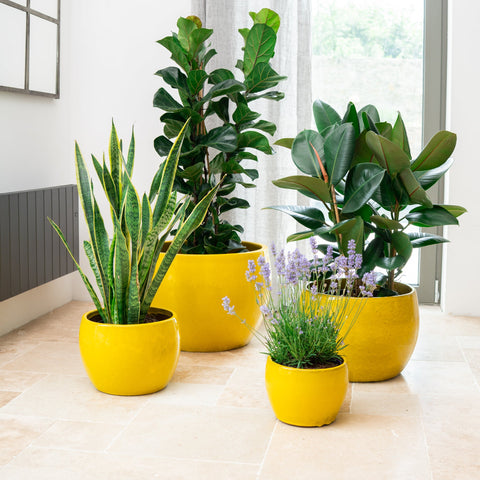Keramicky květináč Romulus - Žlutý