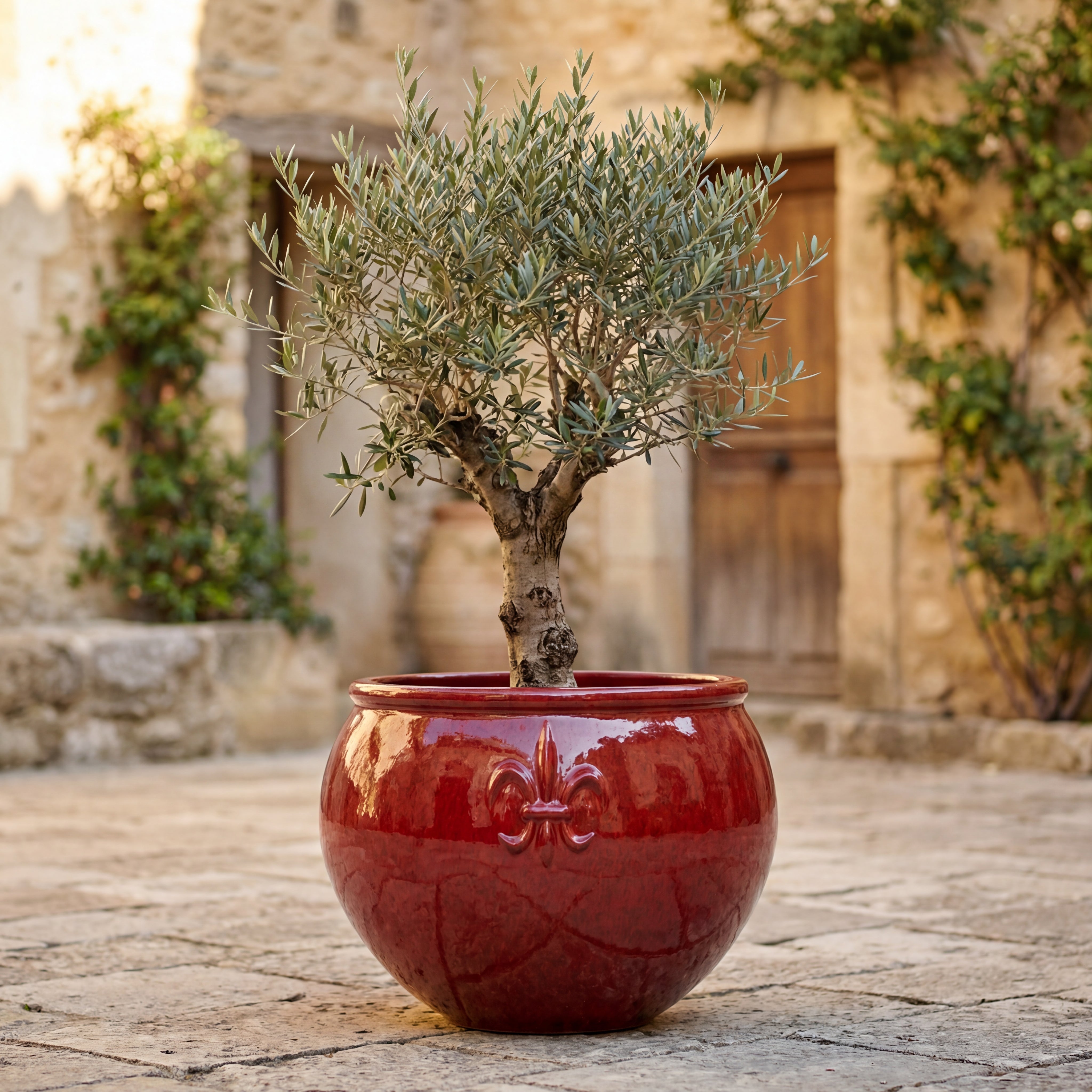 Keramický květináč Clovis - Tropická červená