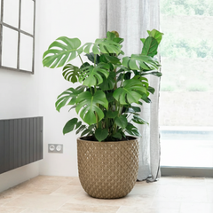 Keramický květináč Mars Broušený bronz – ručně vyráběný glazovaný květináč z terakoty