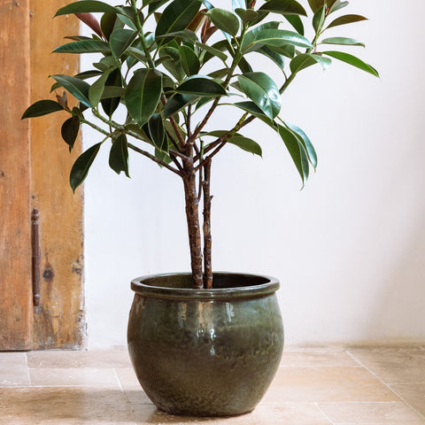 Keramický květináč Newton - Tropická zelená