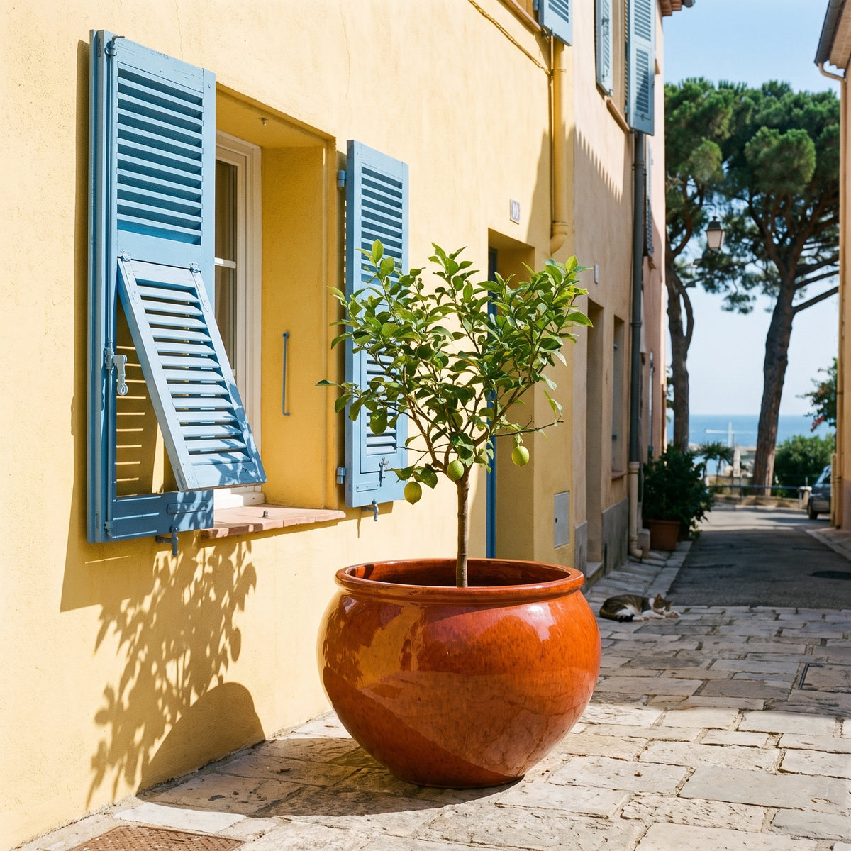 Provencelia LUTECE – glazed ceramic outdoor planter, Tropicky oranžová, XXL 85 × 64 cm