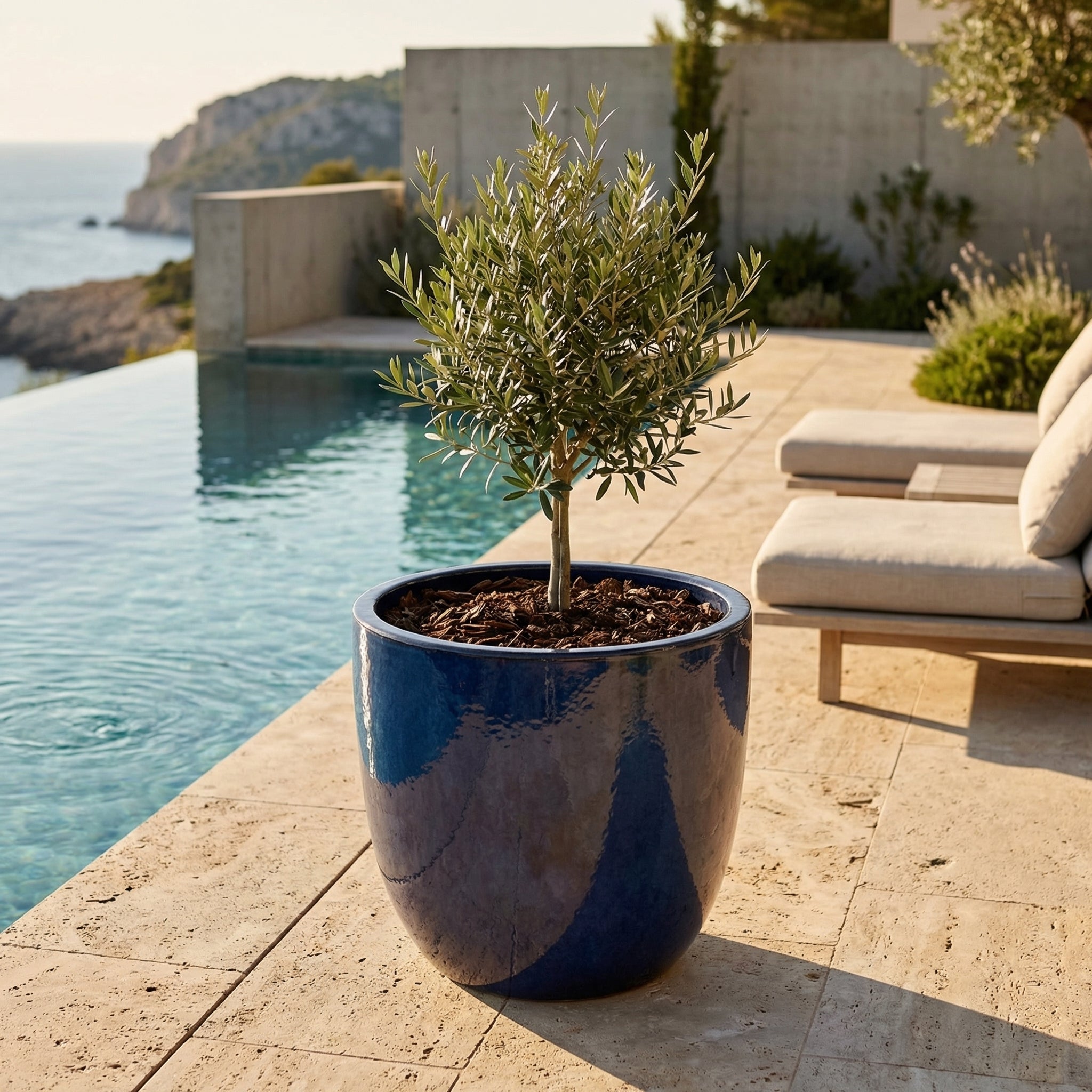 Lesklý keramický květináč LANCELOT - Půlnoční modrá s olivovníkem na luxusní slunné terase u bazénu.