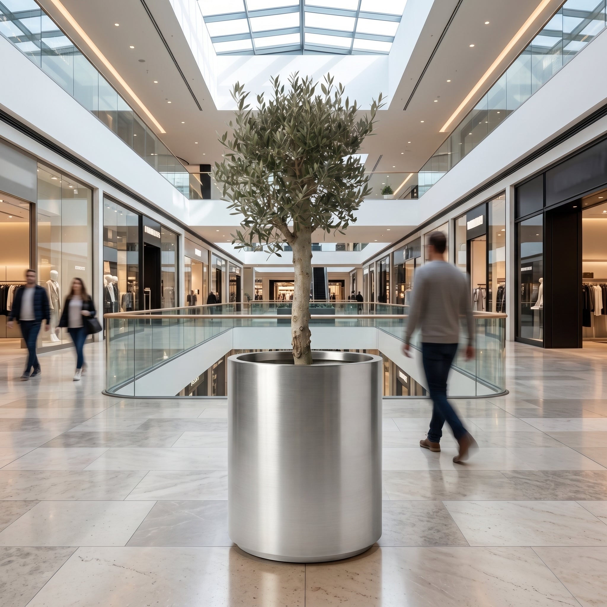 Olivovník se silným kmenem v květináči METROPOLE 60×70cm z kartáčované nerezové oceli v atriu luxusního nákupního centra.