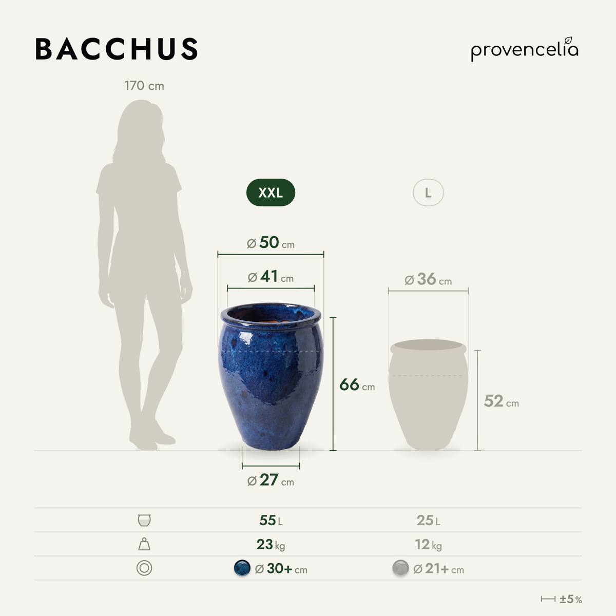 BACCHUS XXL – rozměry