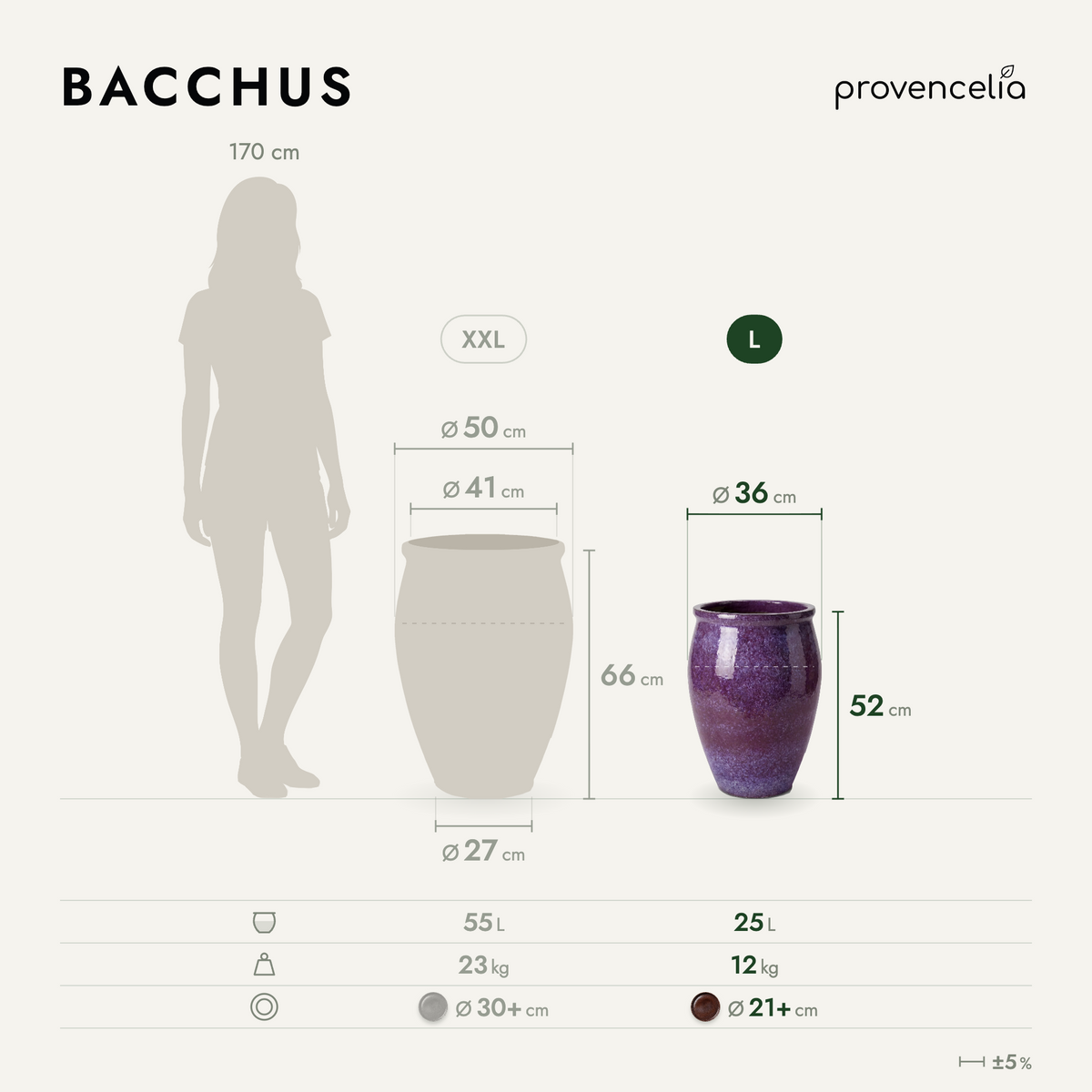 BACCHUS XL – rozměry