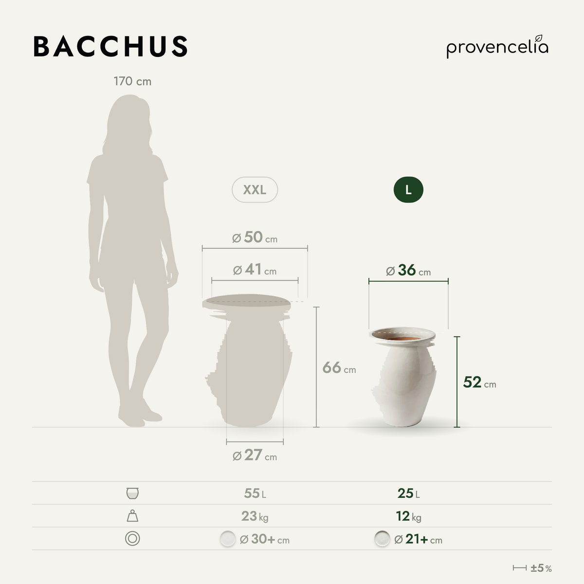 BACCHUS L – rozměry