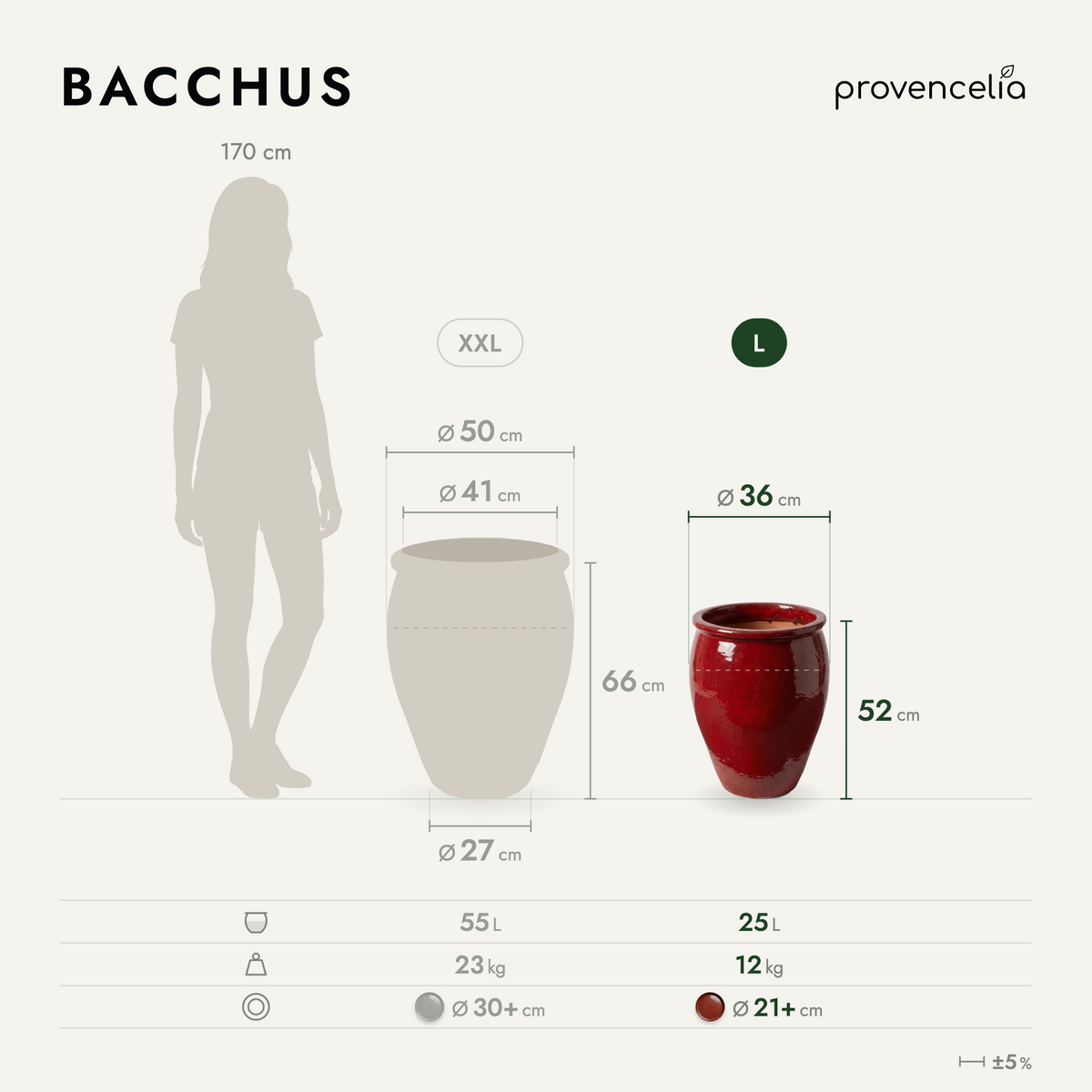 BACCHUS L – rozměry