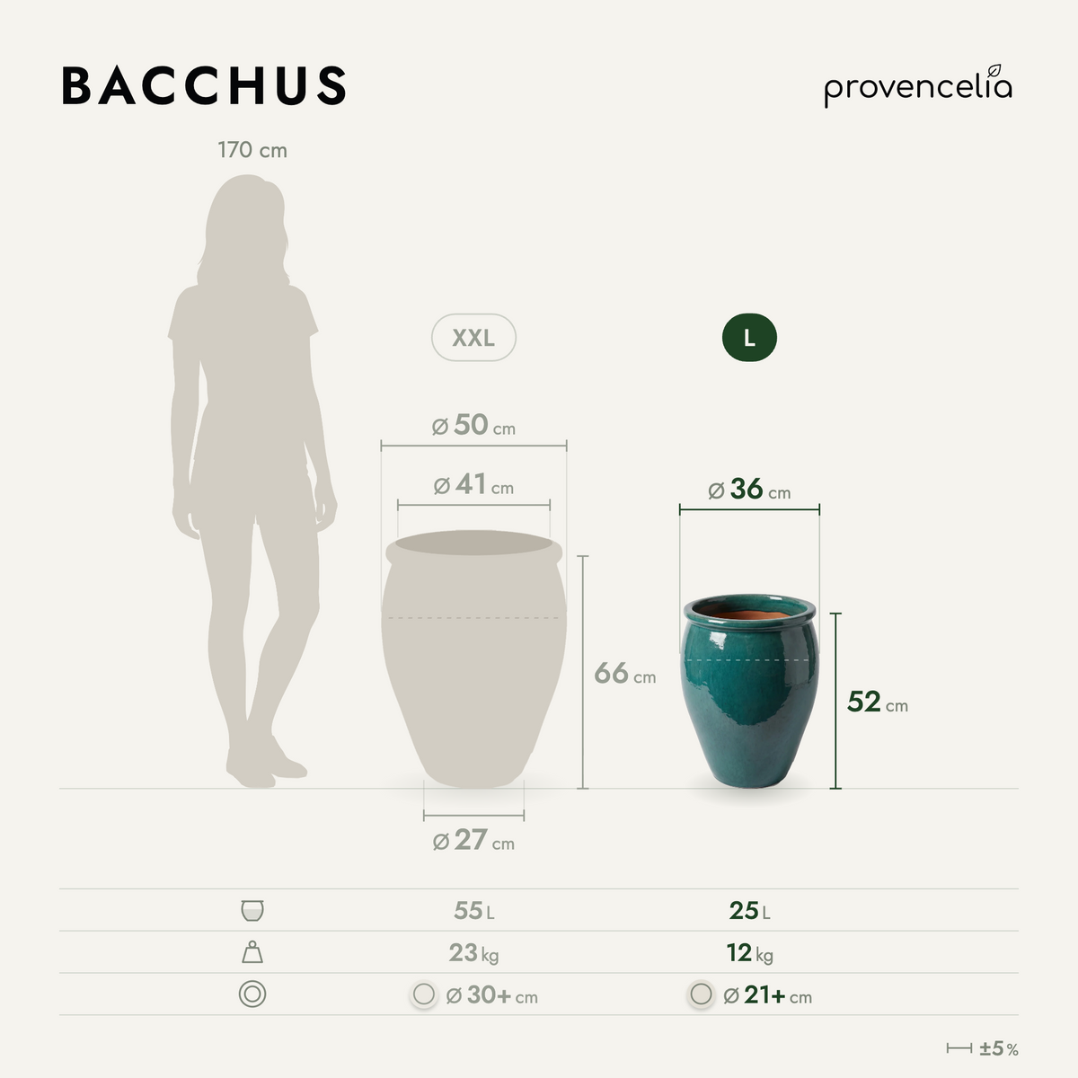 BACCHUS L – rozměry