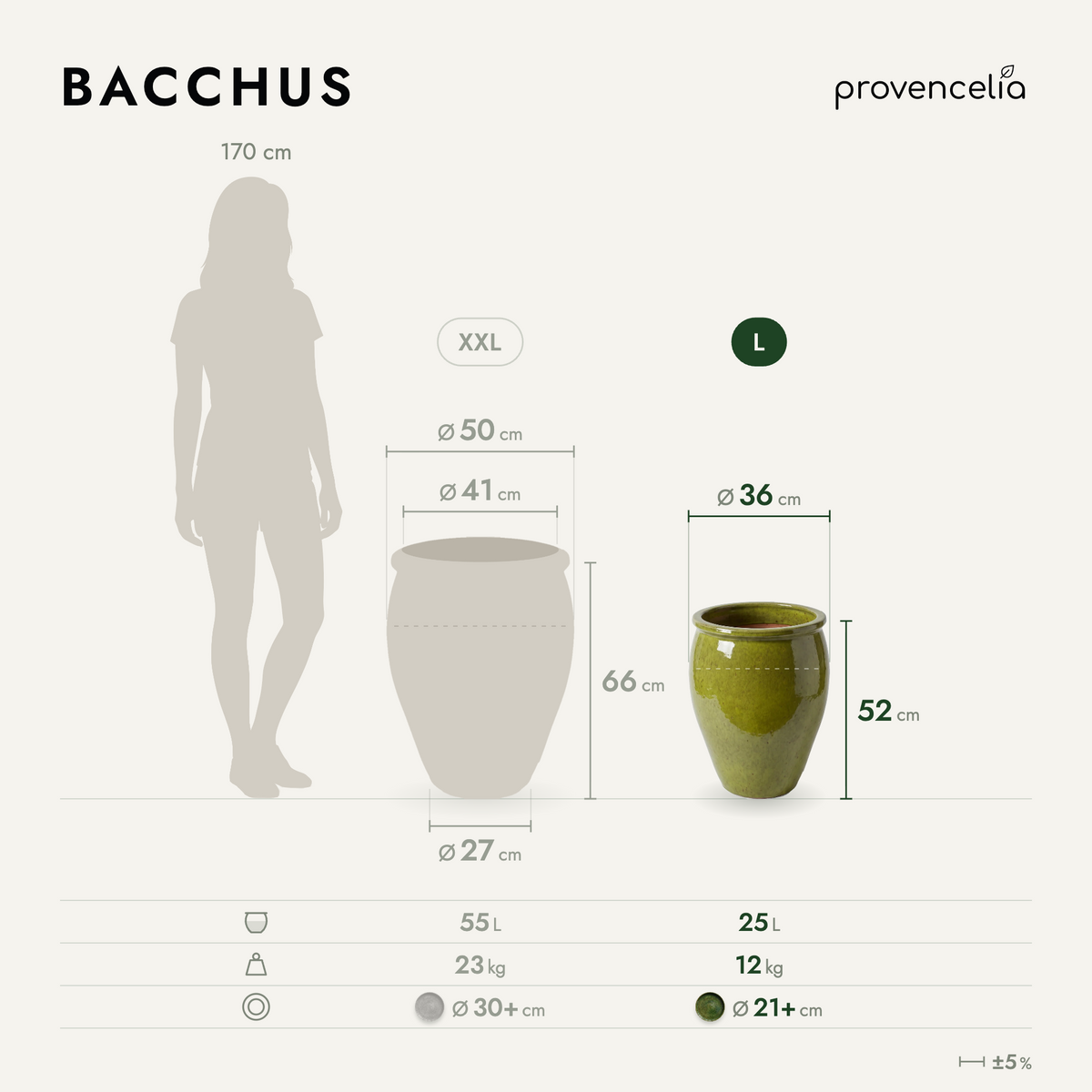 BACCHUS L – rozměry