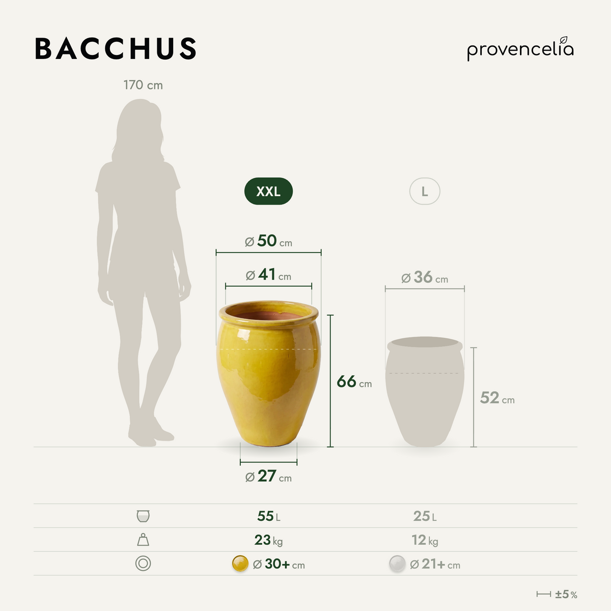 BACCHUS XXL – rozměry