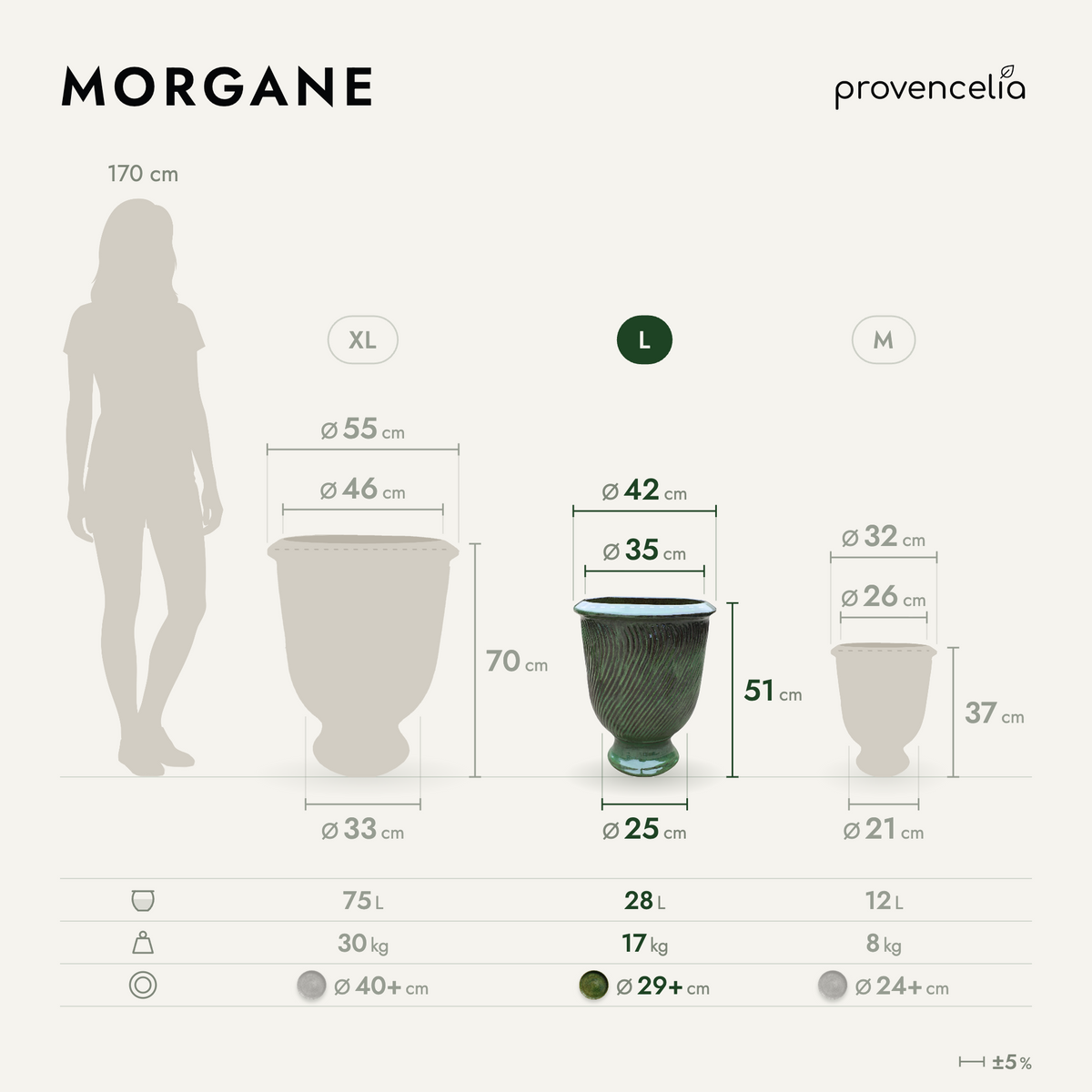 MORGANE L – rozměry