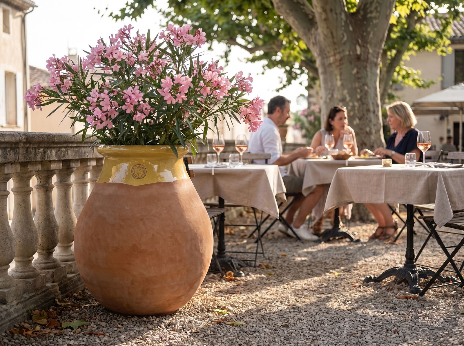 Biot s kvetoucím oleandrem na terase restaurace