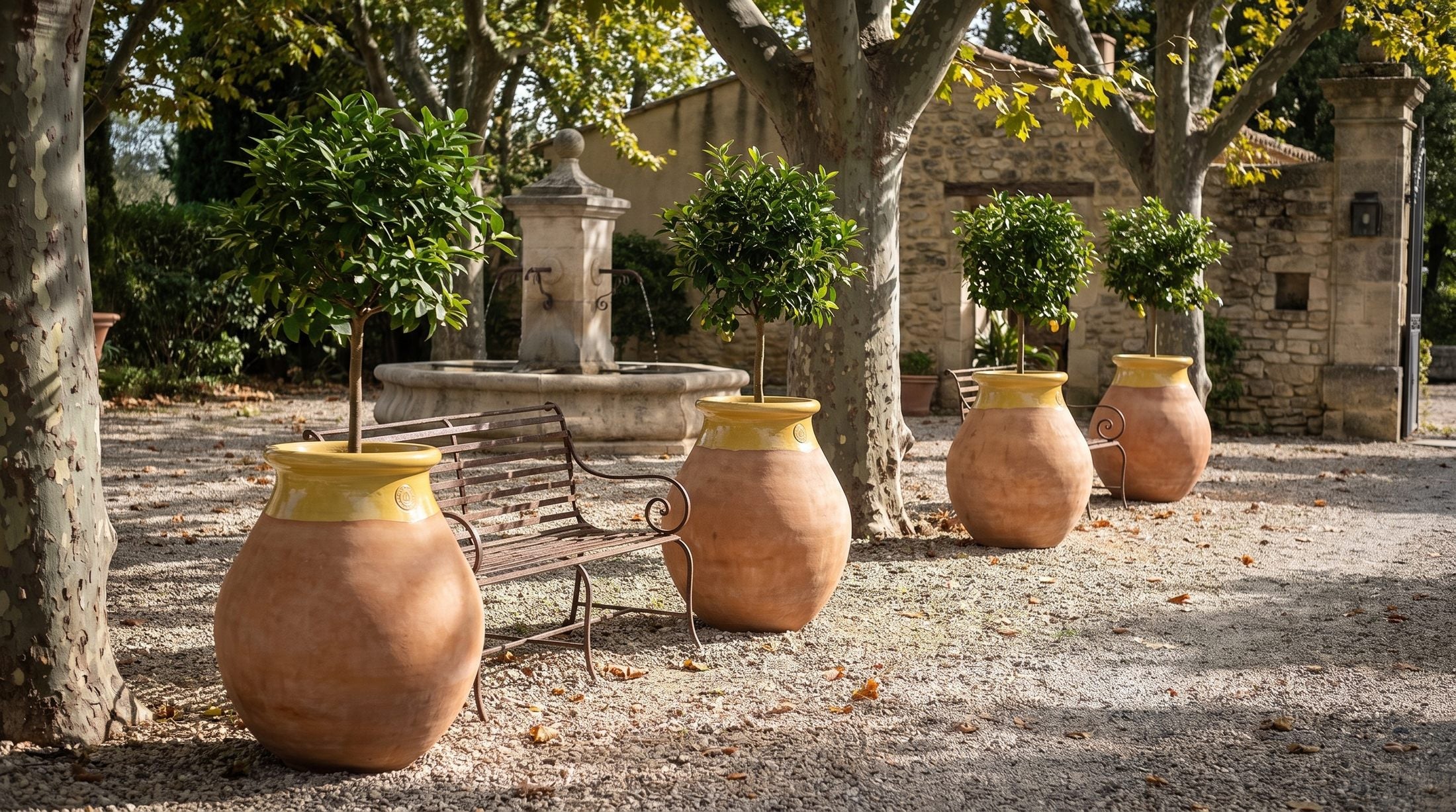 Čtyři bioty Made in Provence s buxusy lemují cestu hotelového nádvoří
