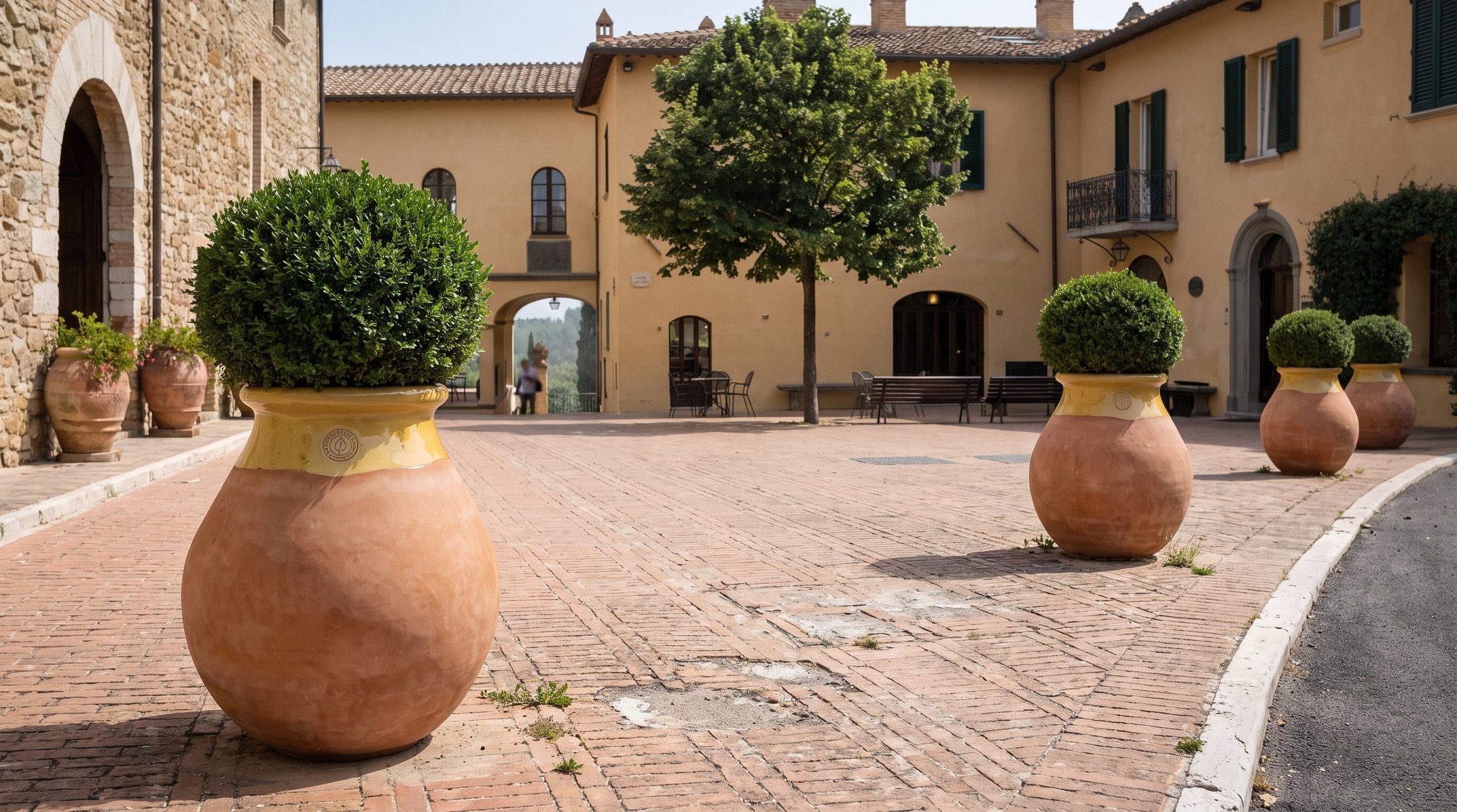 Čtyři bioty Made in Provence s buxusy lemují cestu hotelového nádvoří